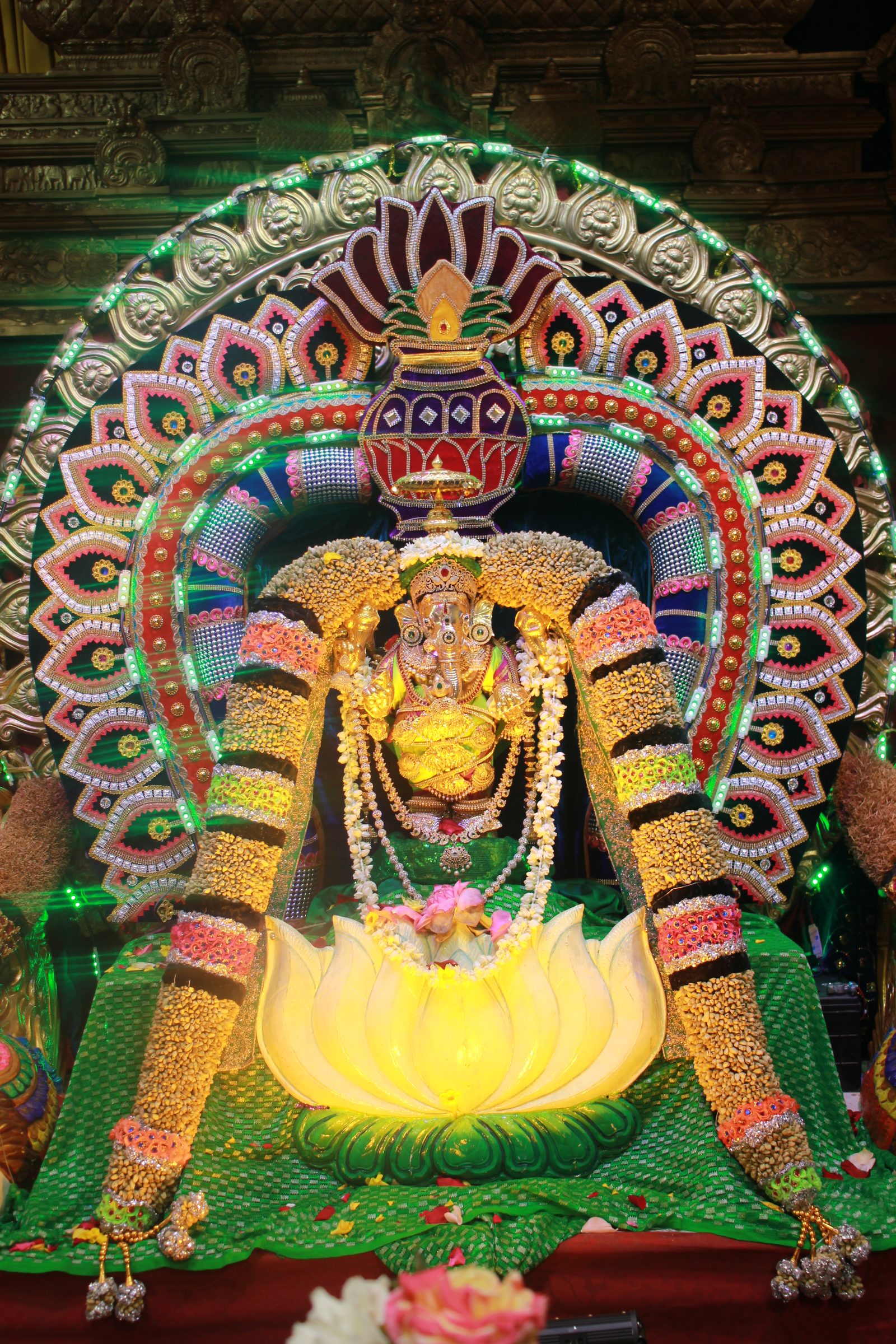 Festival 2026 photo