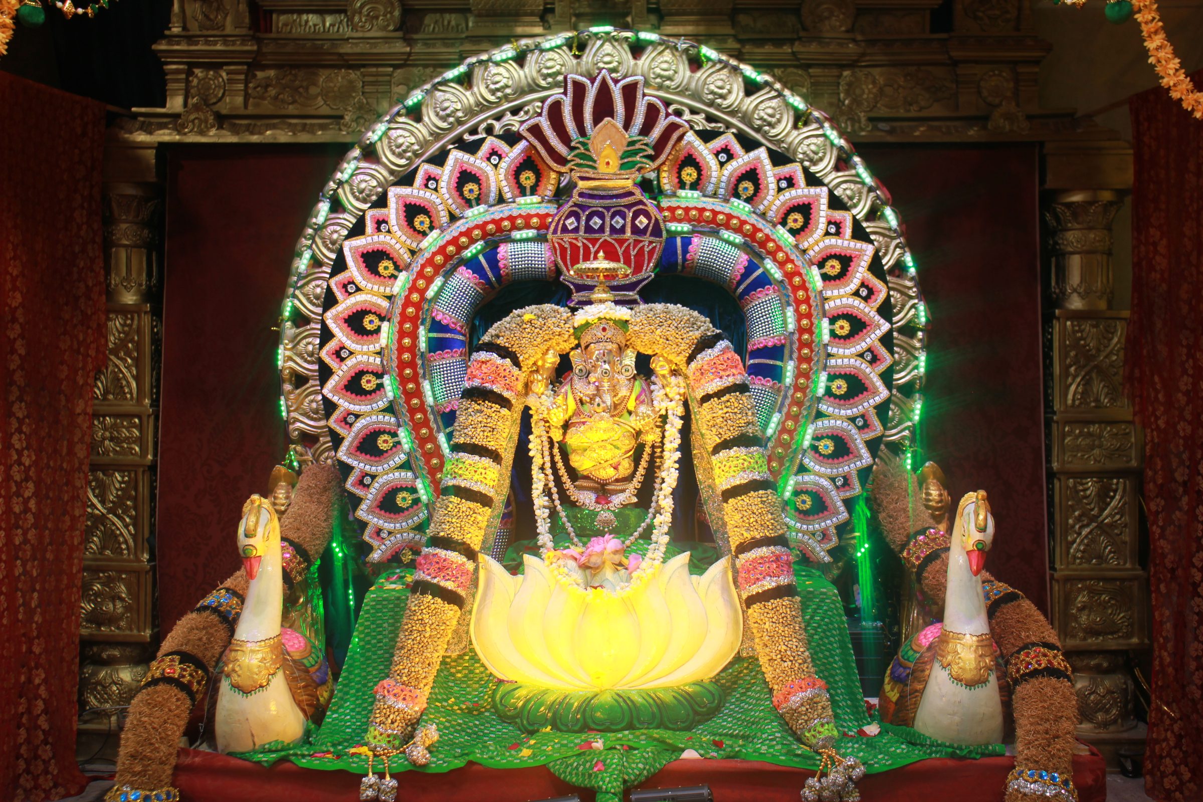 Festival 2026 photo