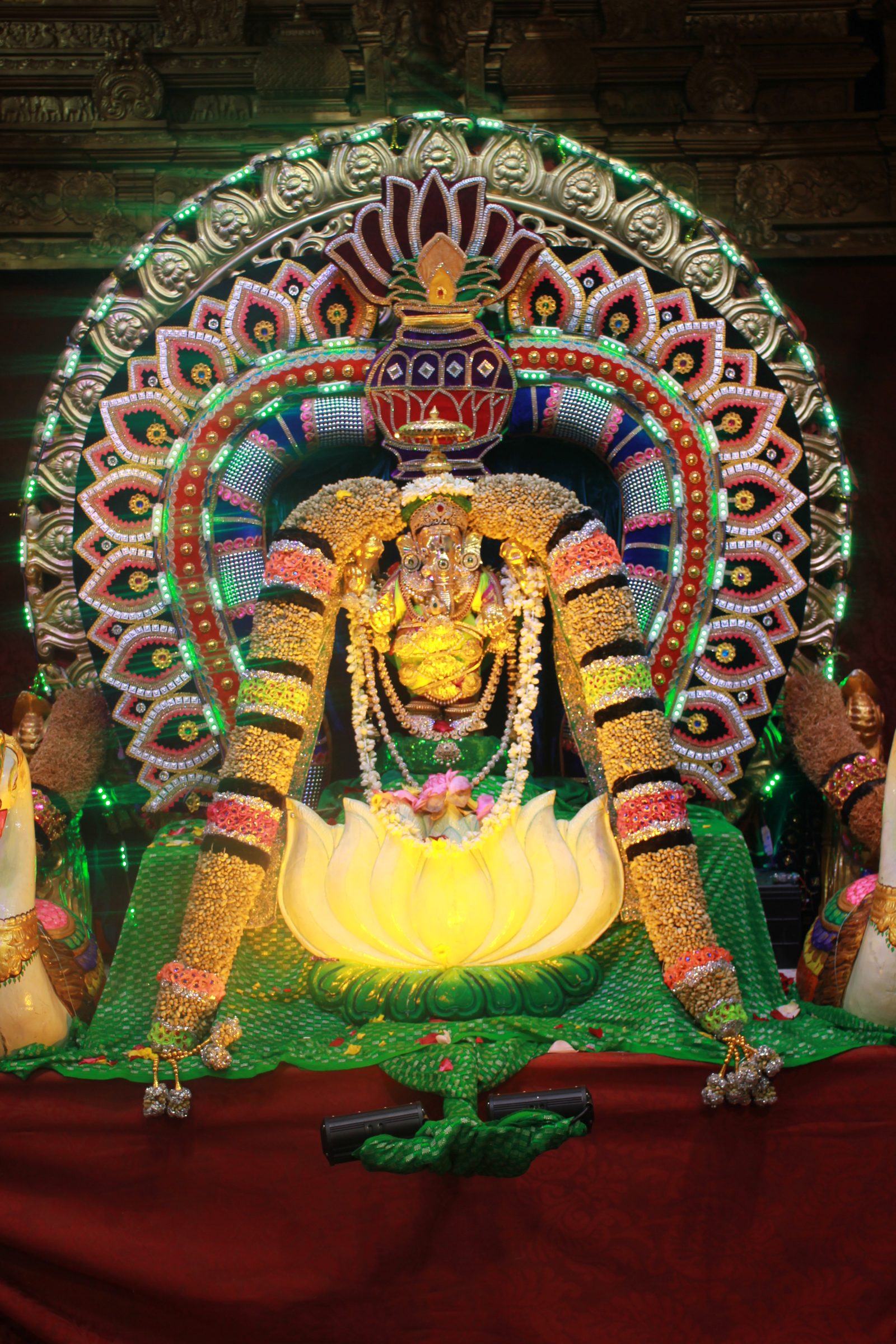 Festival 2026 photo
