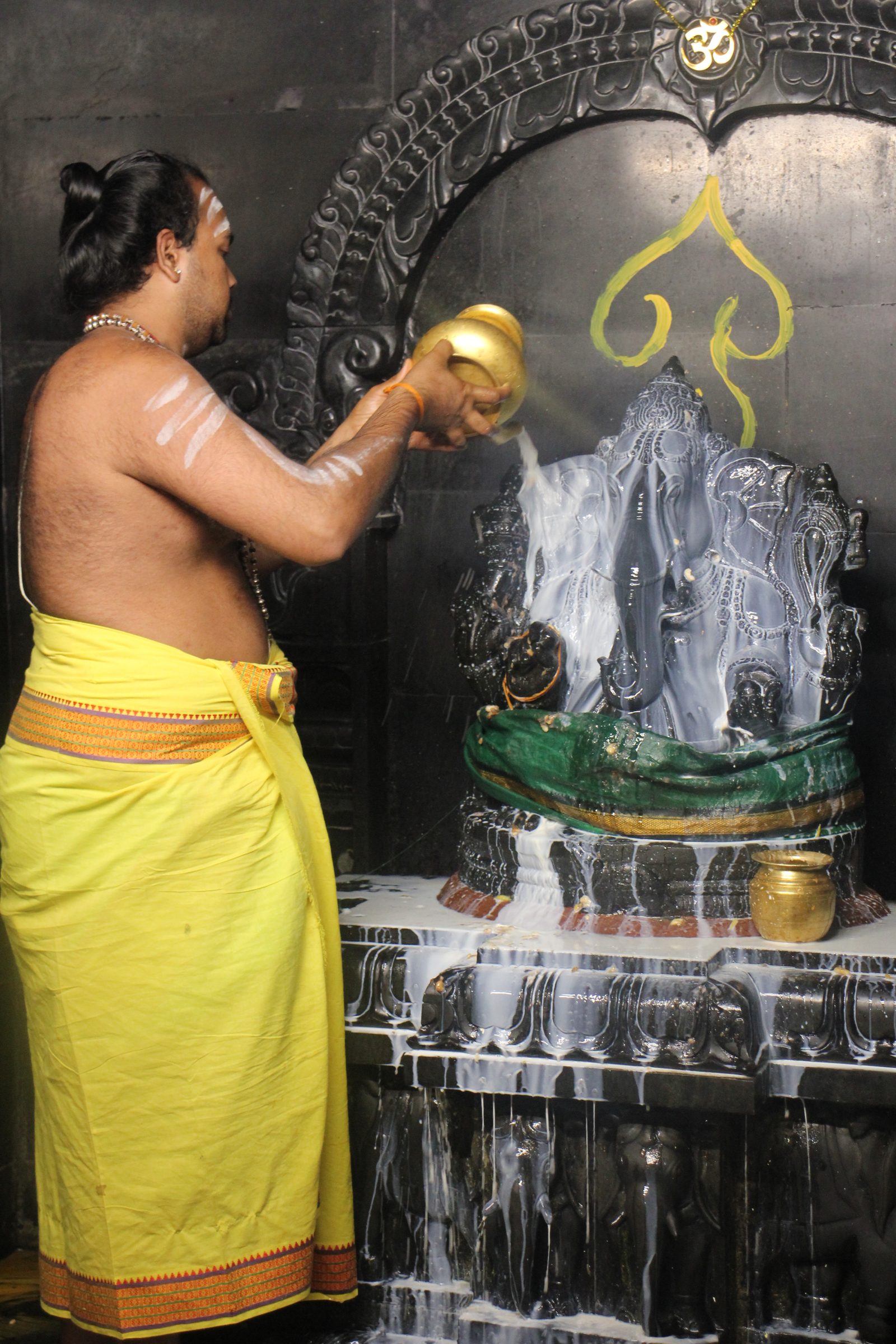 Festival 2026 photo