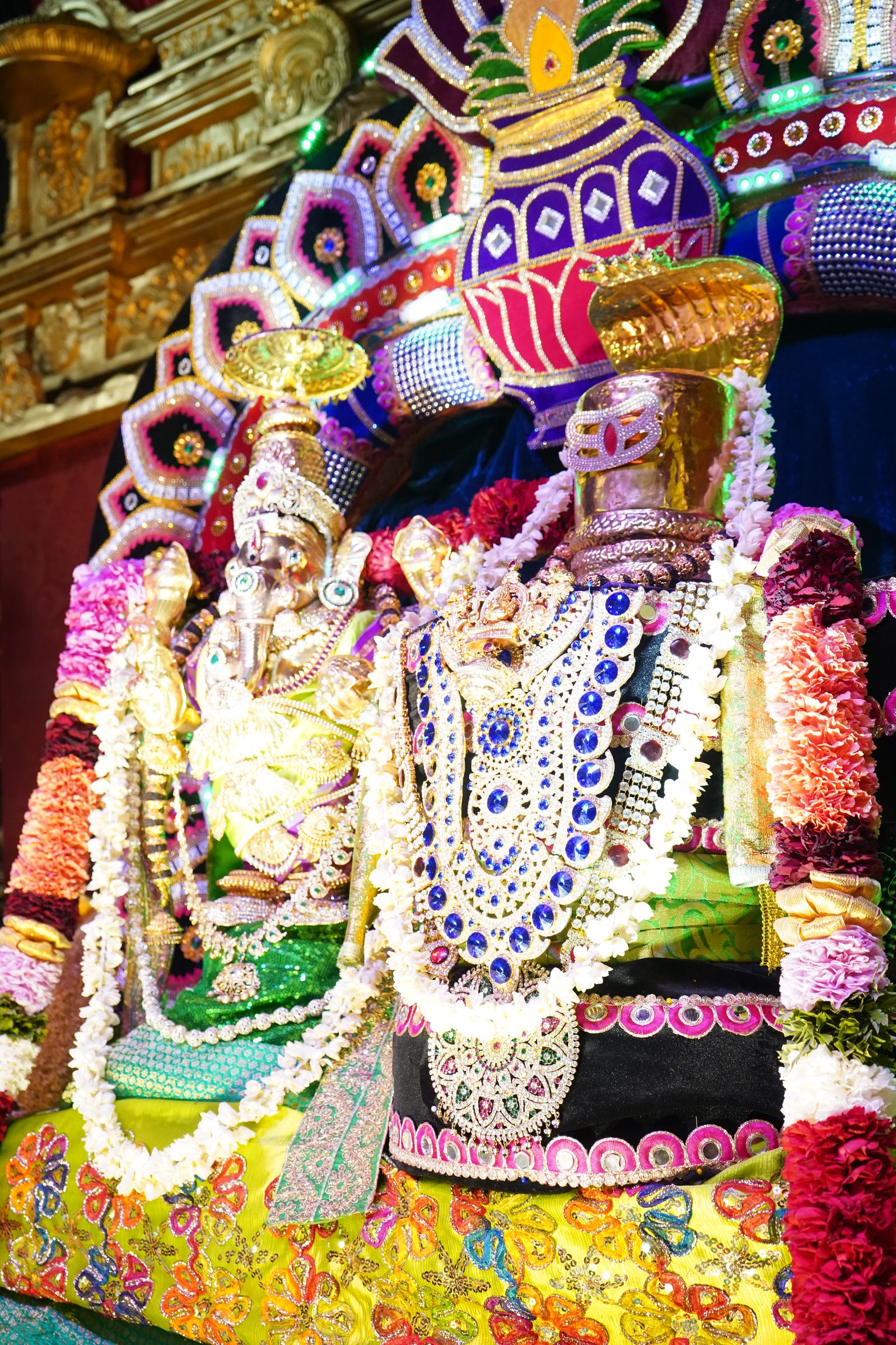 Festival 2026 photo