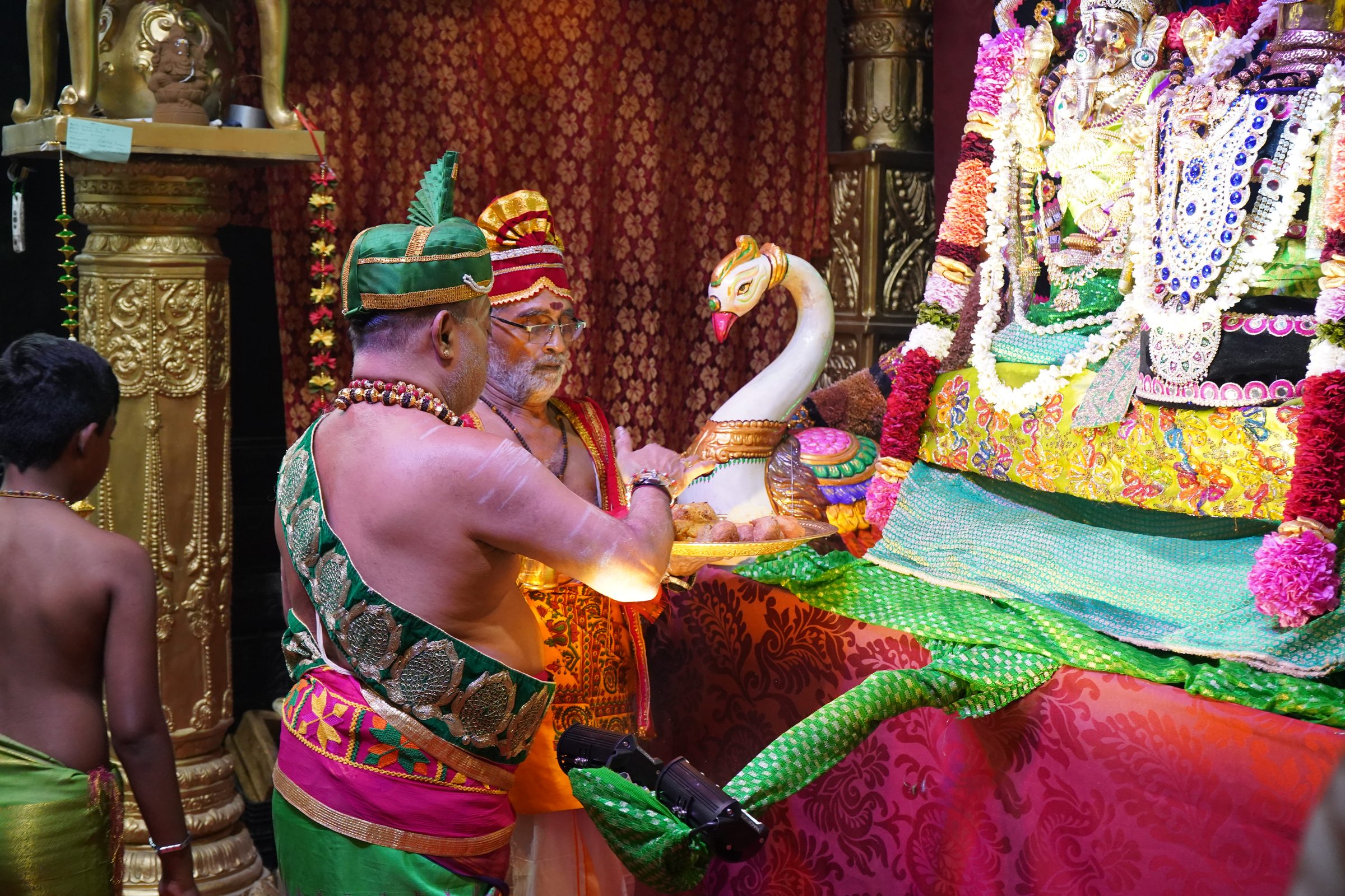 Festival 2026 photo