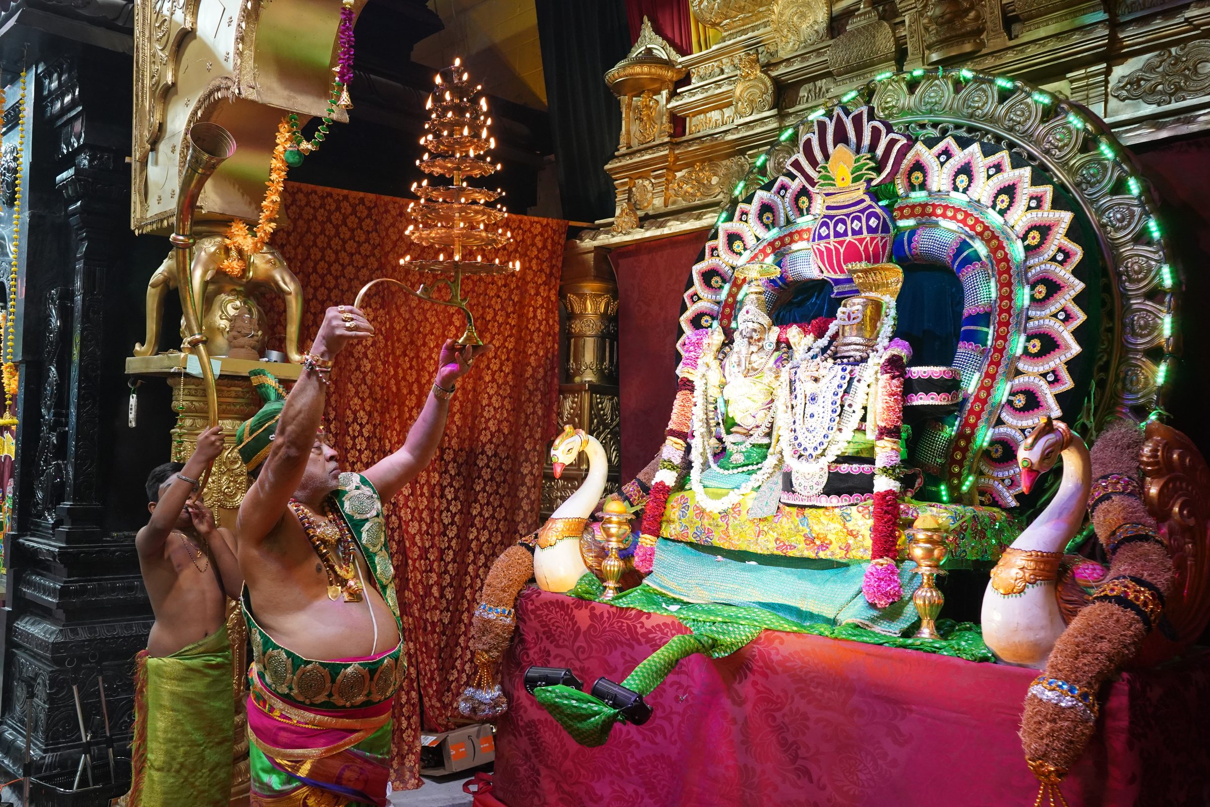 Festival 2026 photo