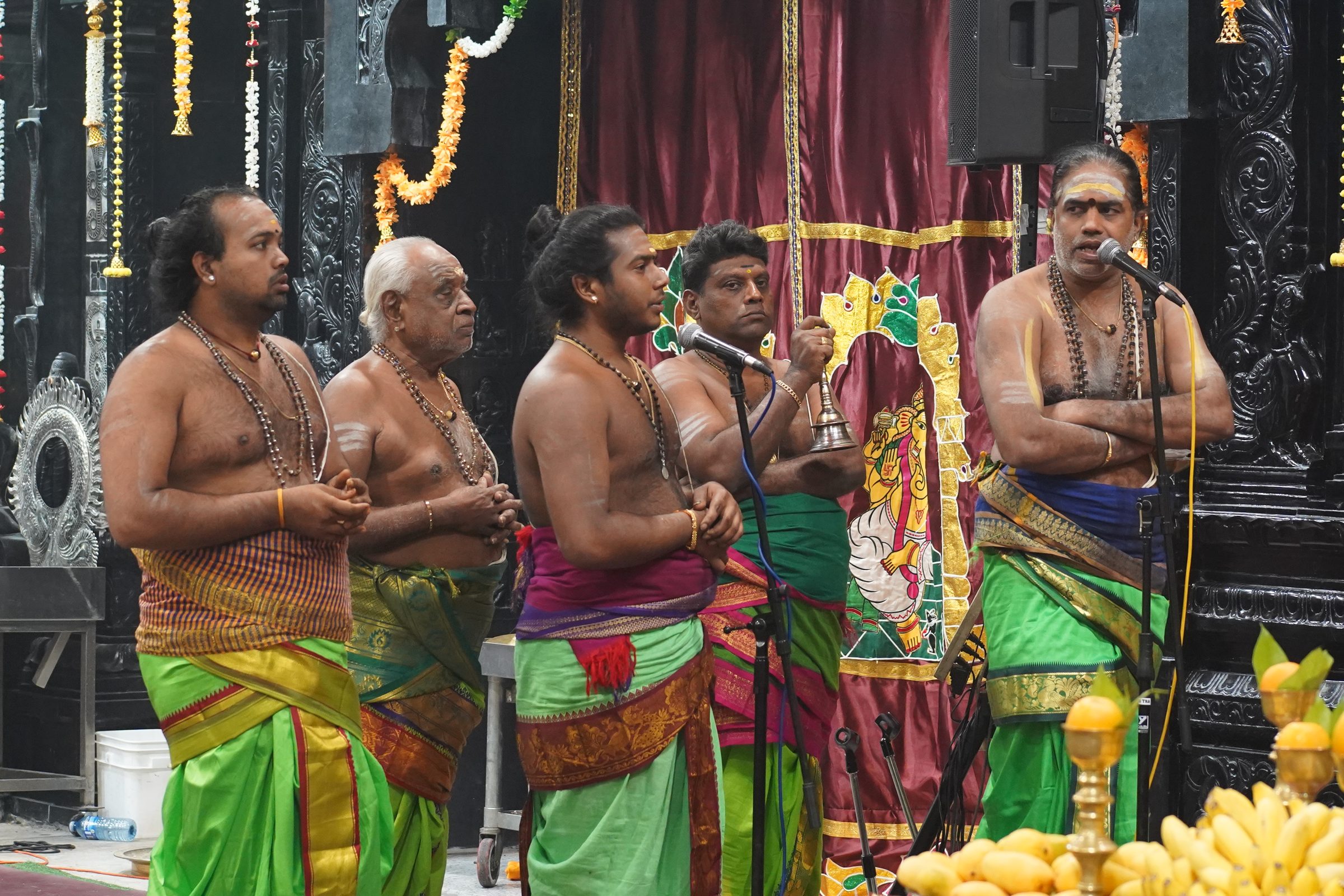 Festival 2026 photo