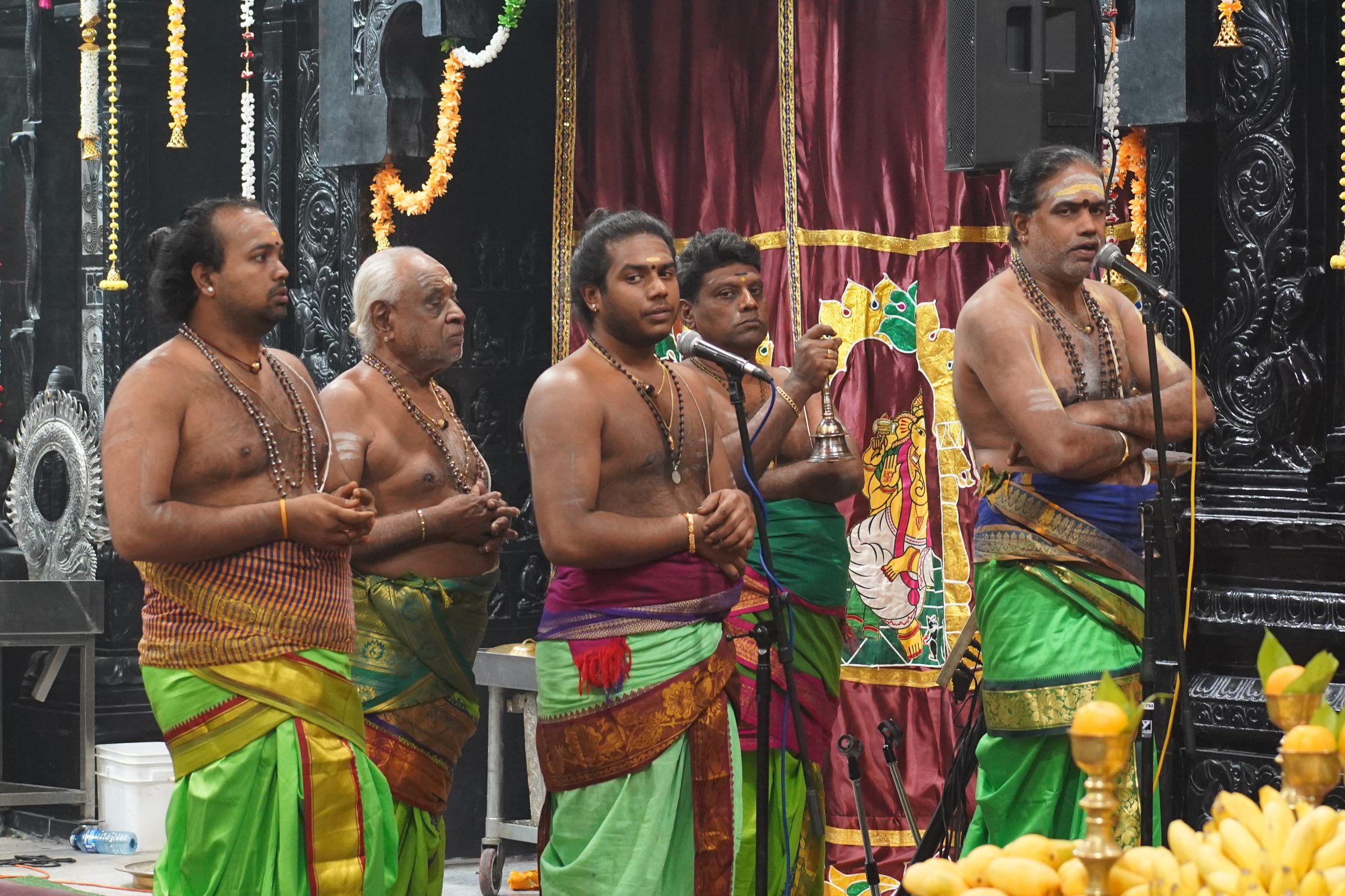 Festival 2026 photo