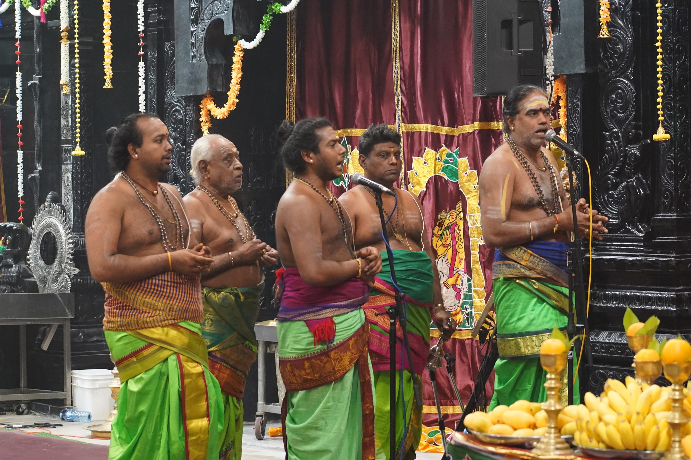 Festival 2026 photo