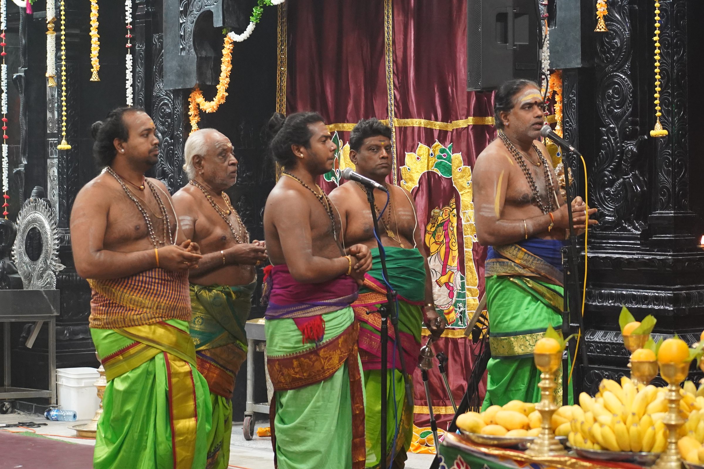 Festival 2026 photo