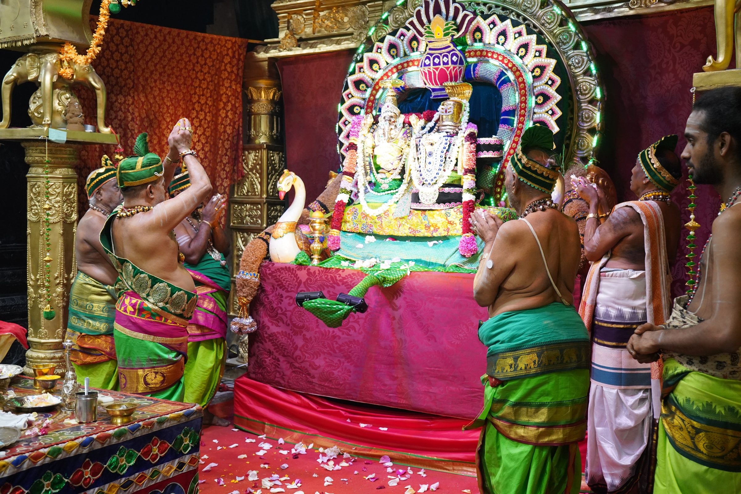 Festival 2026 photo