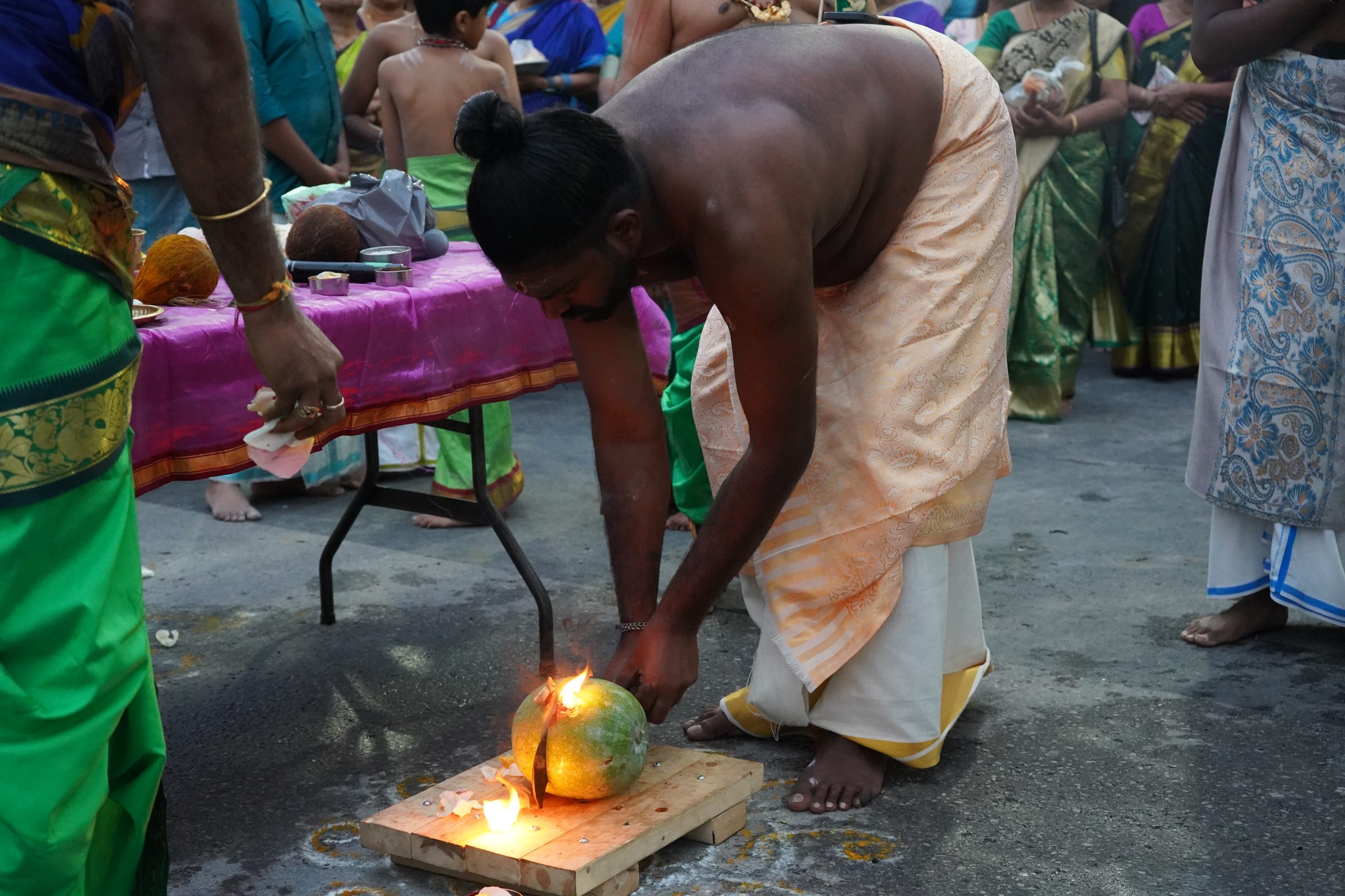 Festival 2026 photo