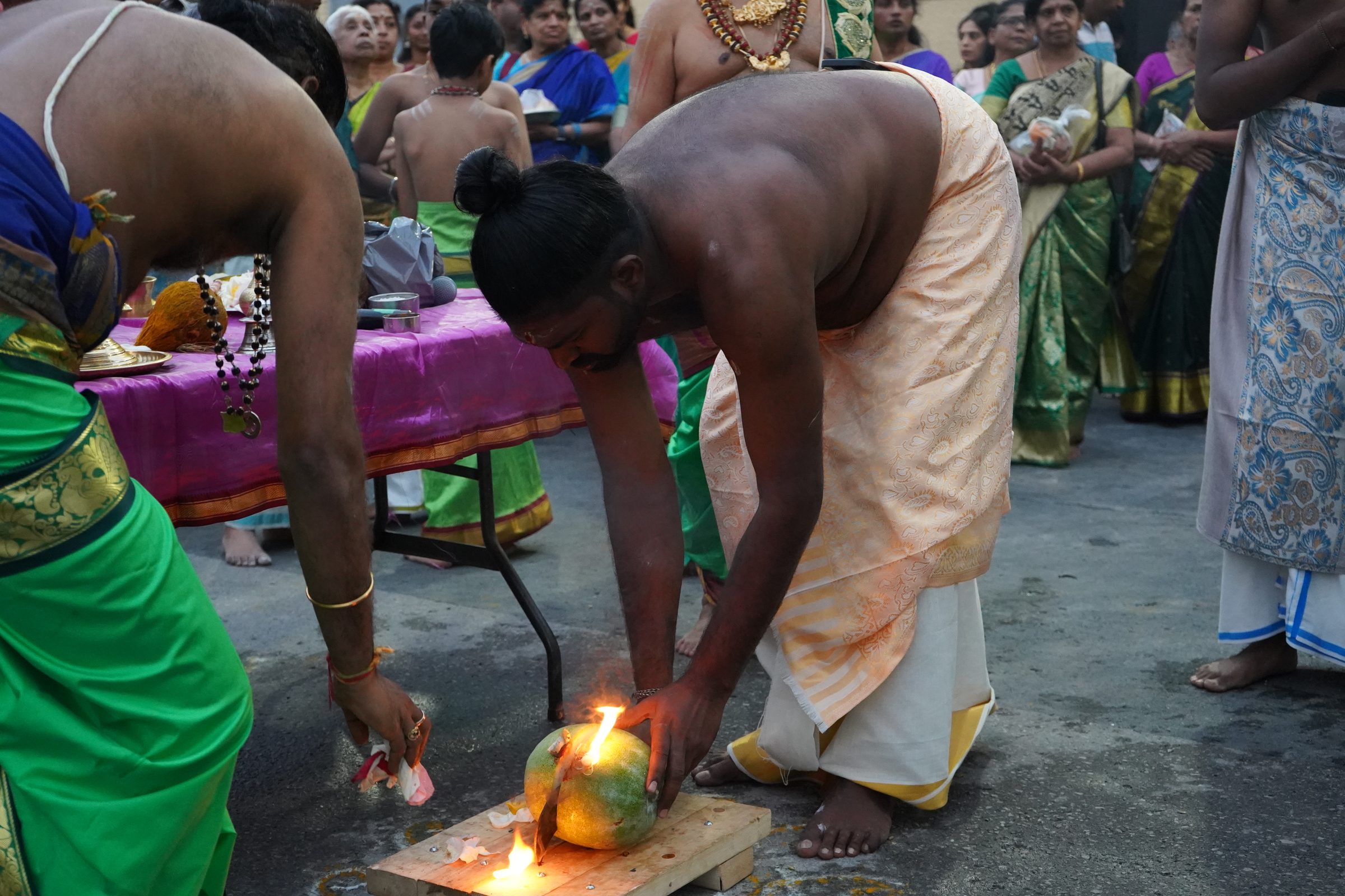 Festival 2026 photo