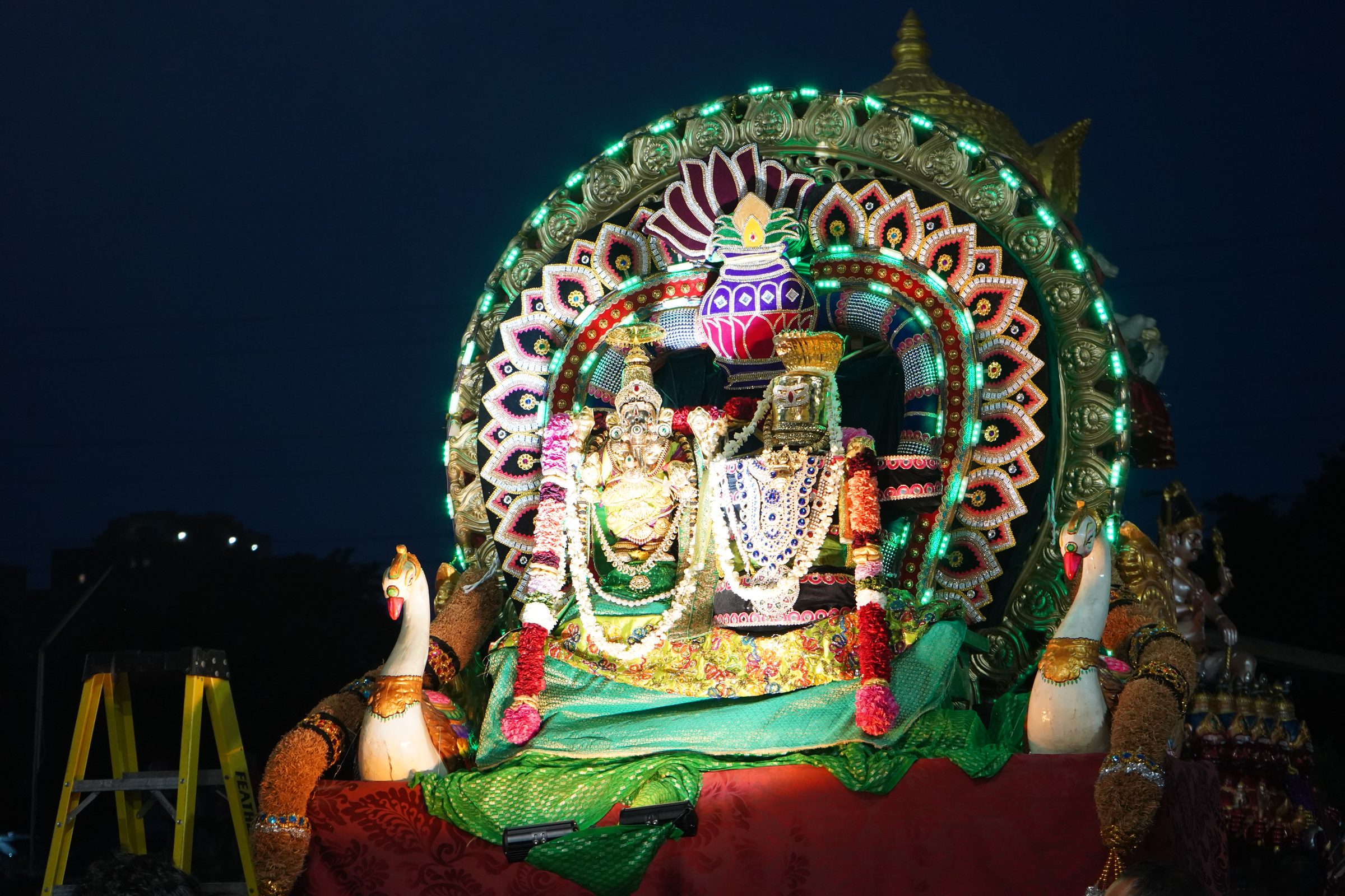 Festival 2026 photo