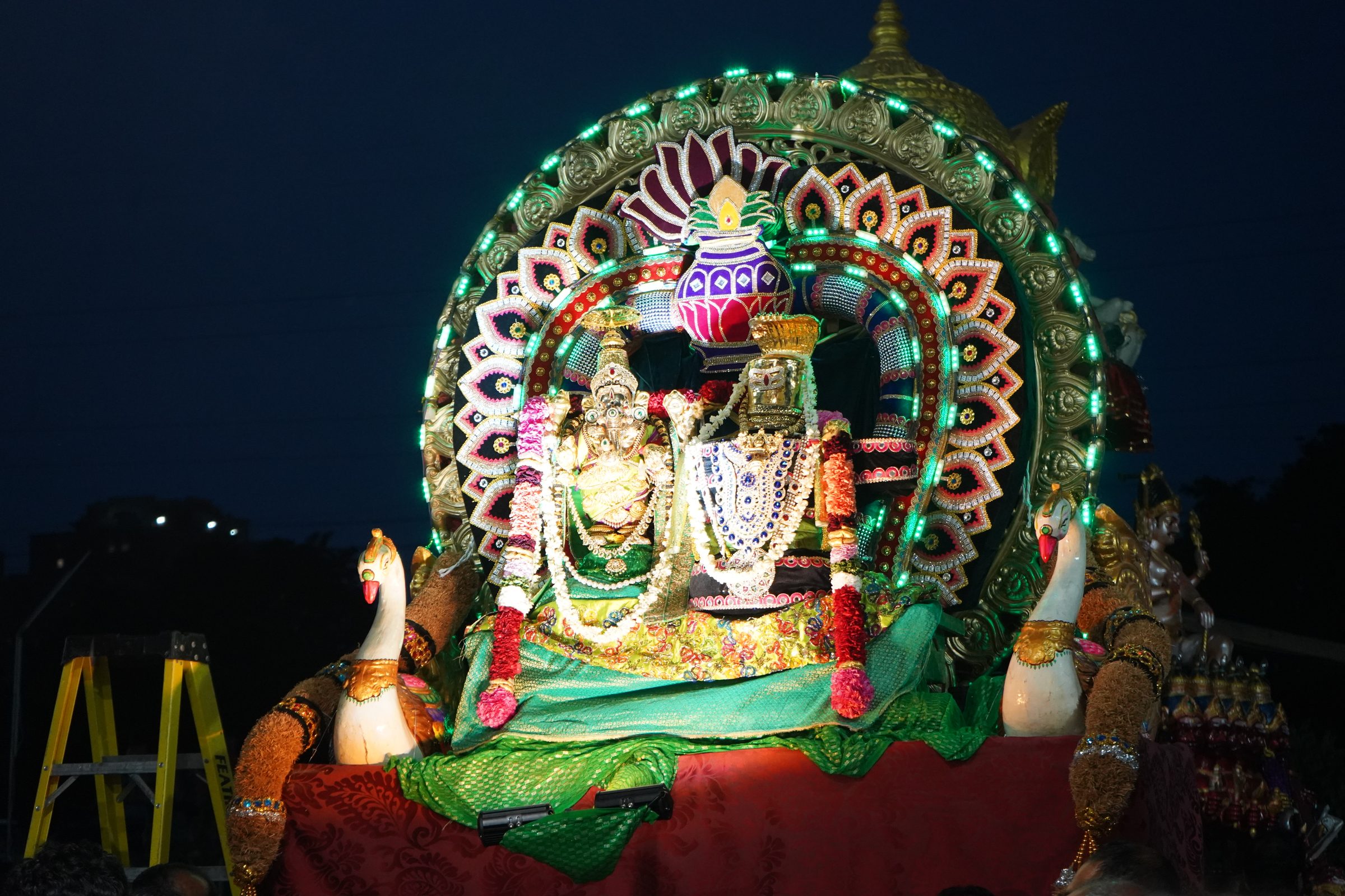 Festival 2026 photo