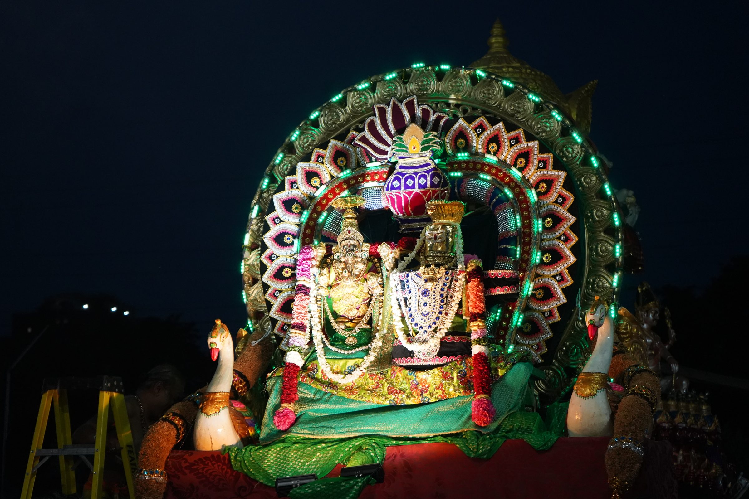 Festival 2026 photo