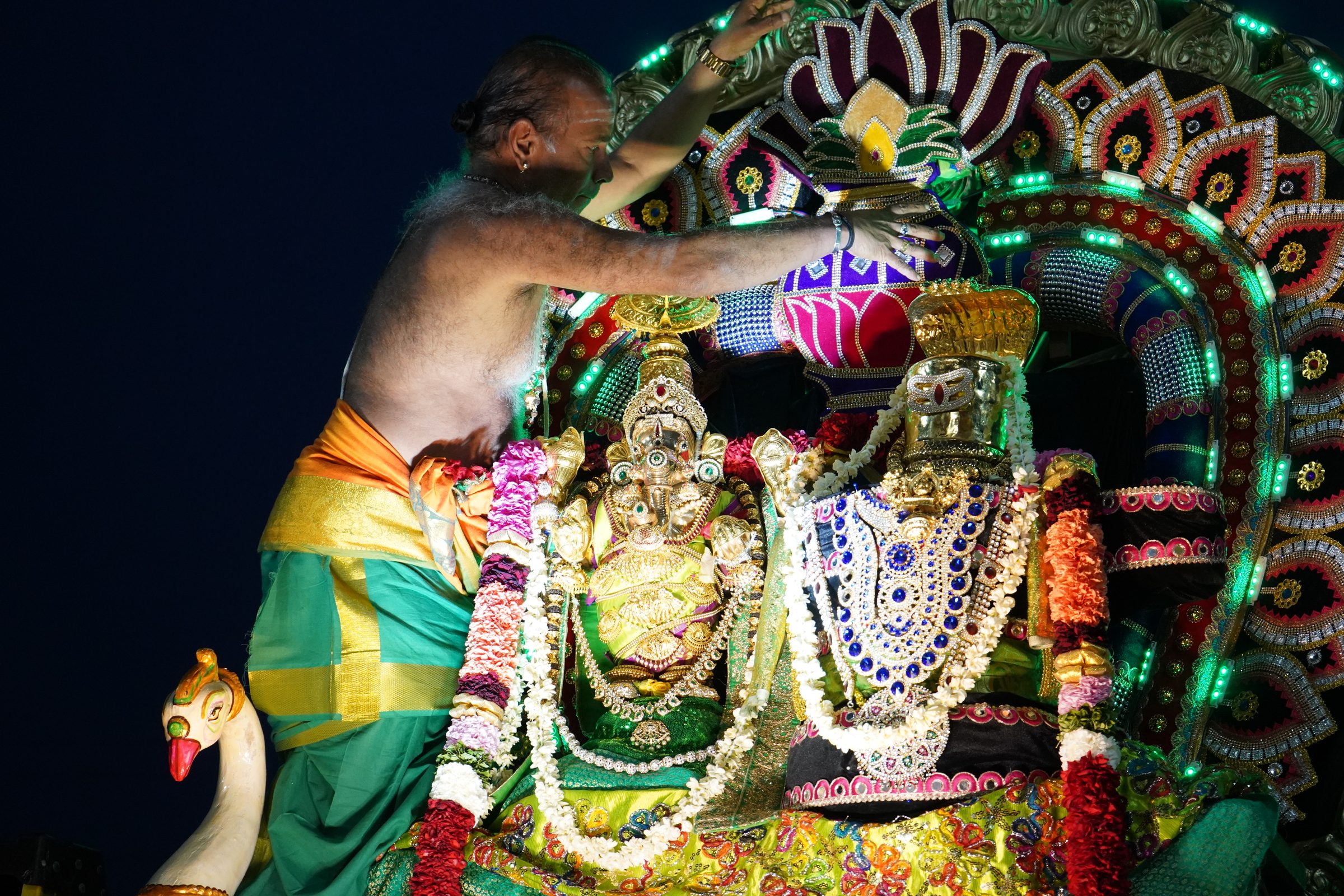Festival 2026 photo