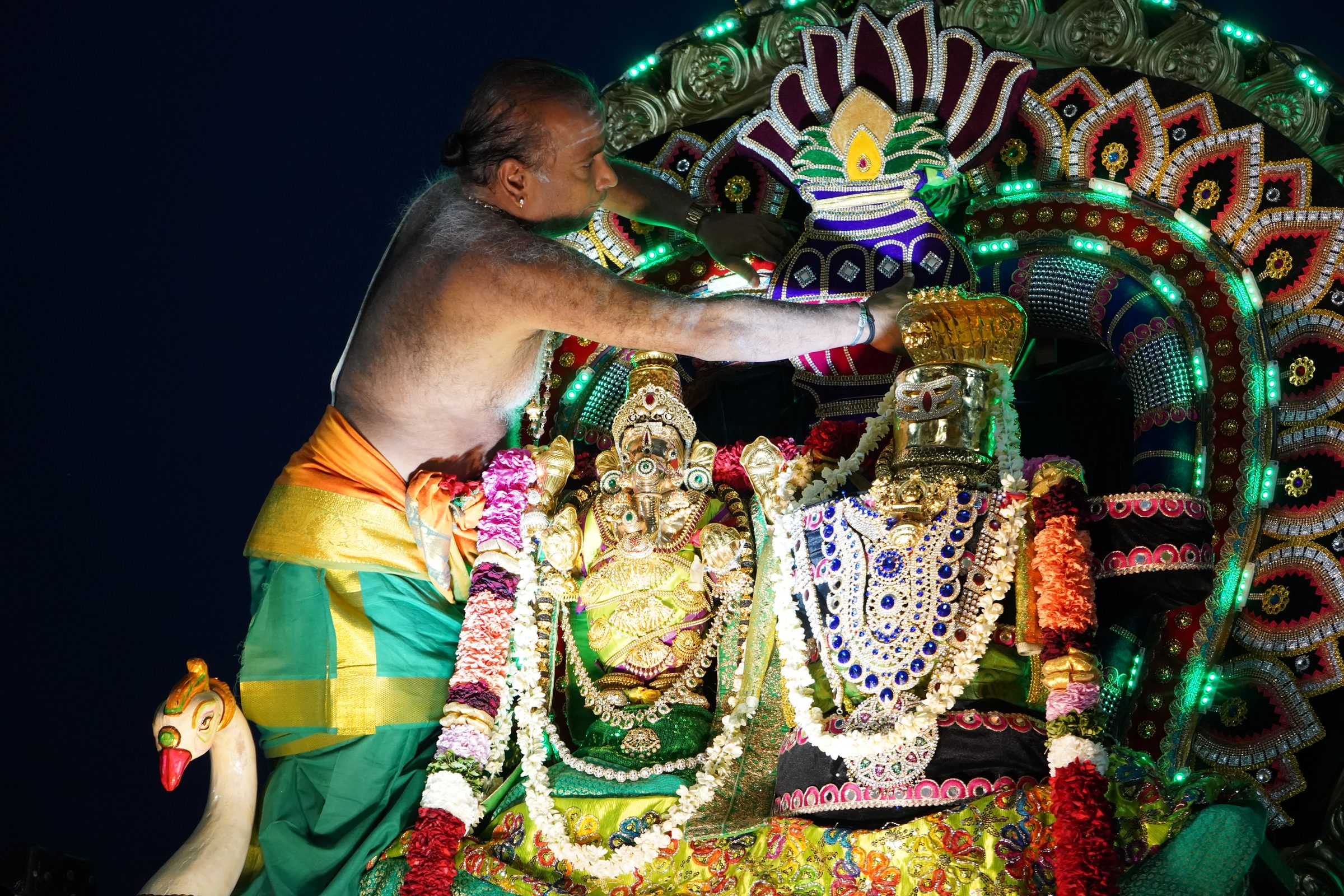 Festival 2026 photo