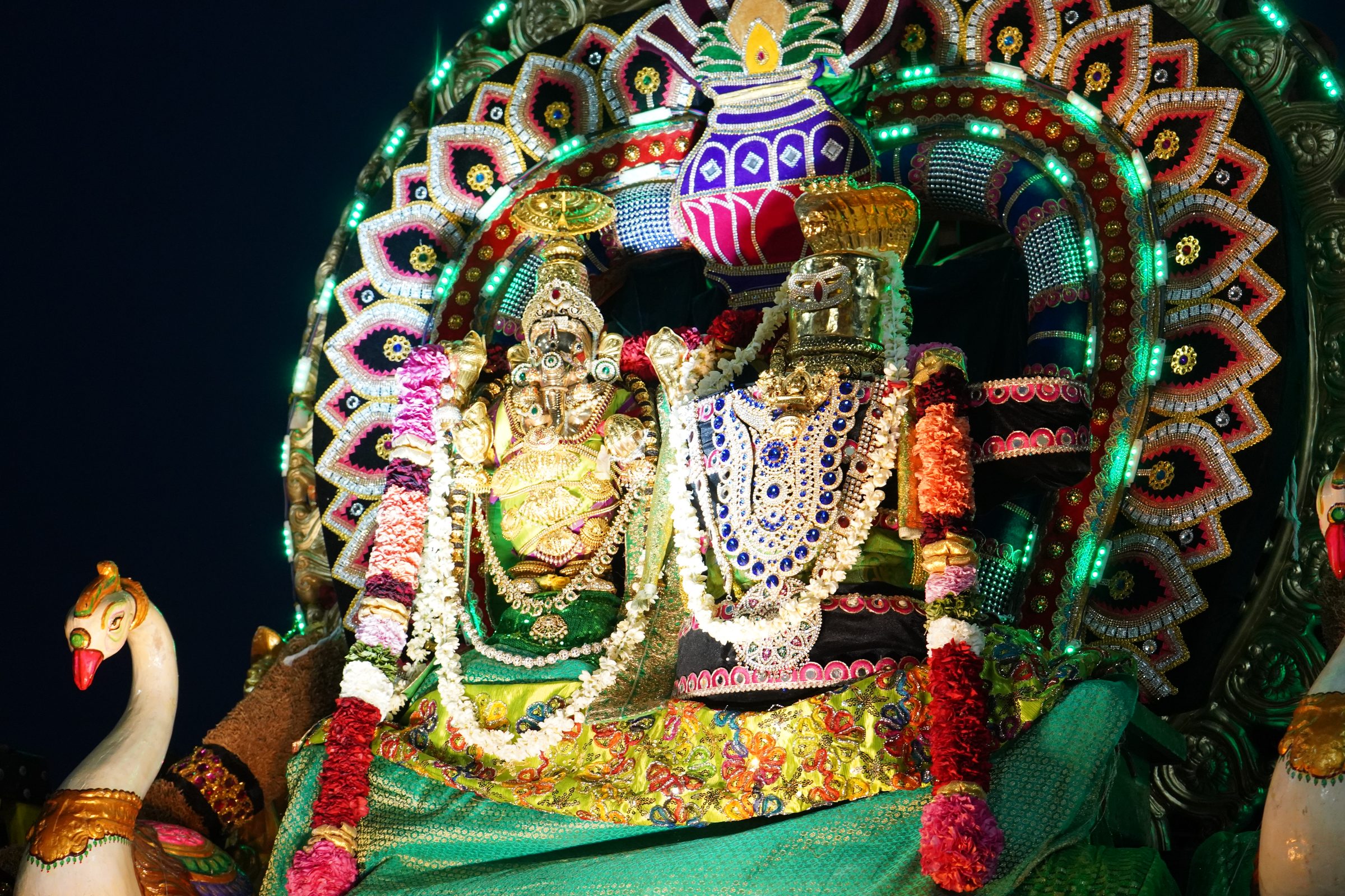 Festival 2026 photo