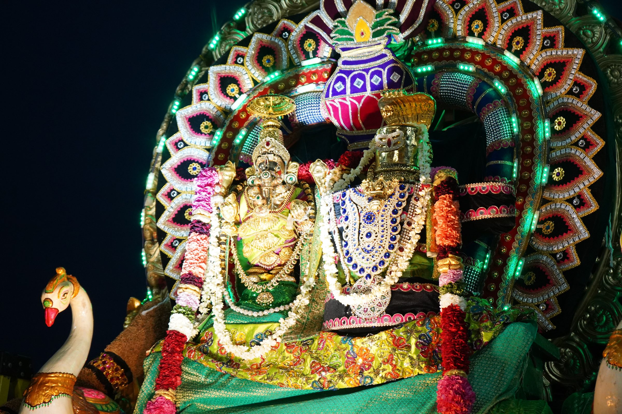 Festival 2026 photo