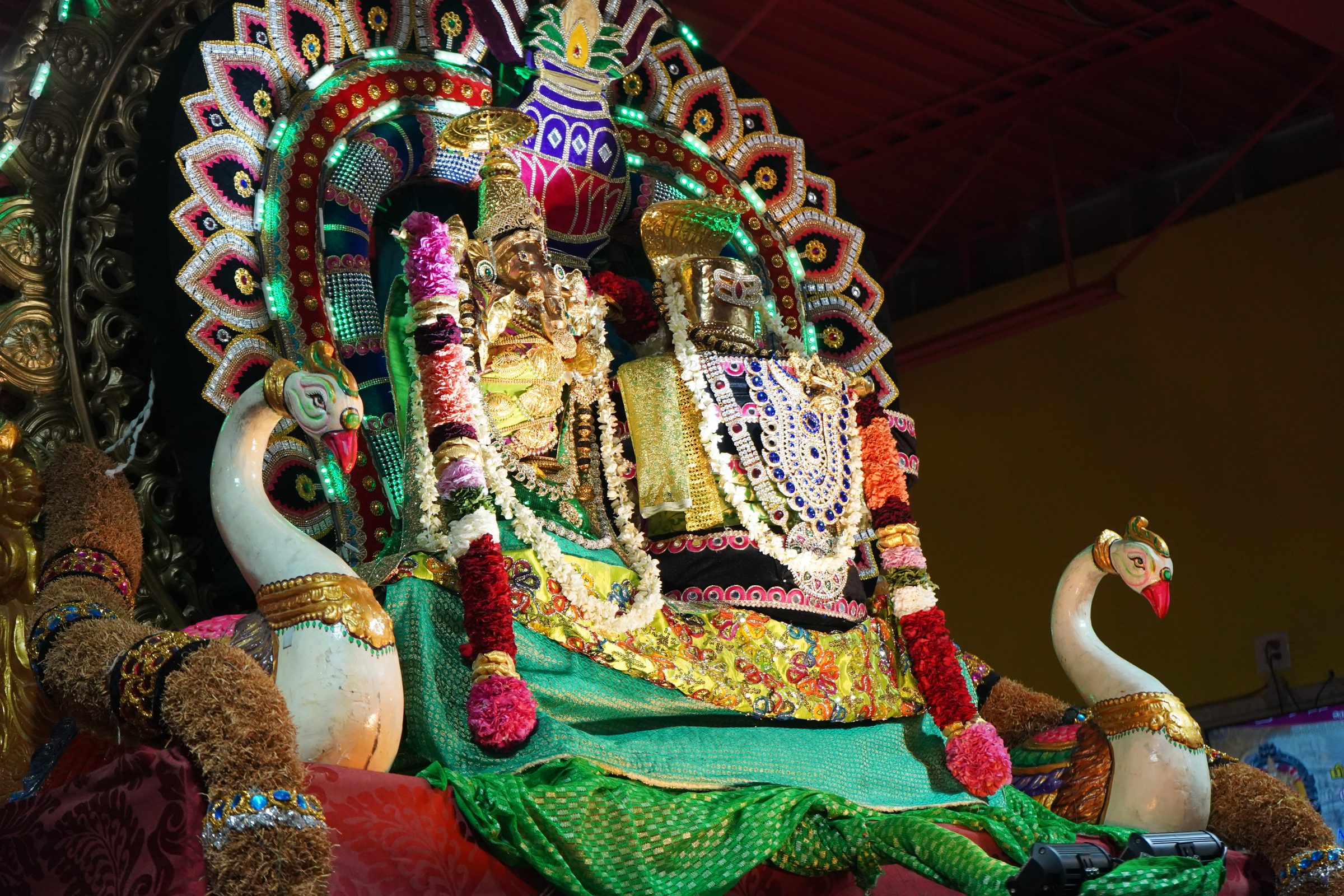 Festival 2026 photo