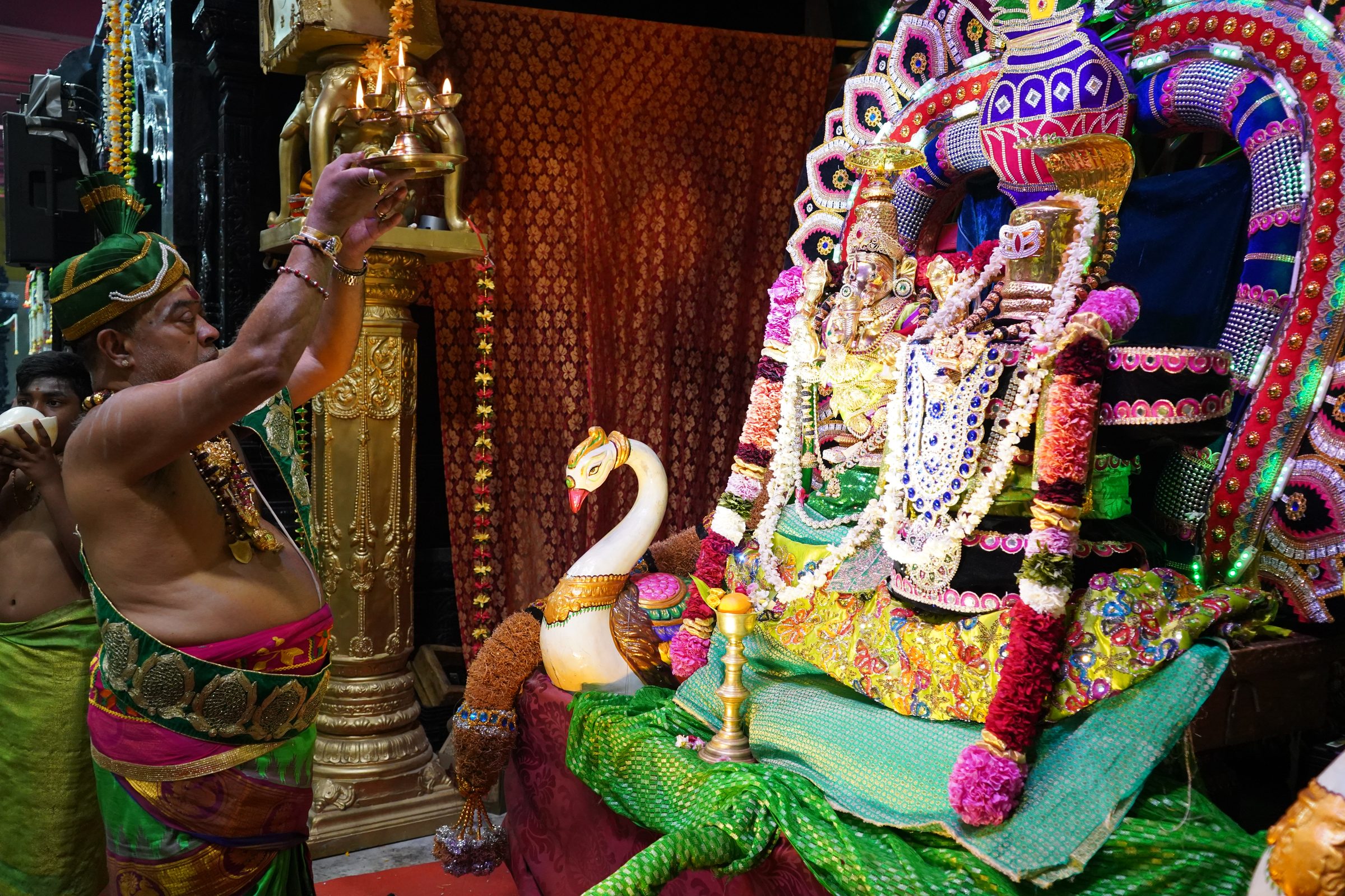 Festival 2026 photo