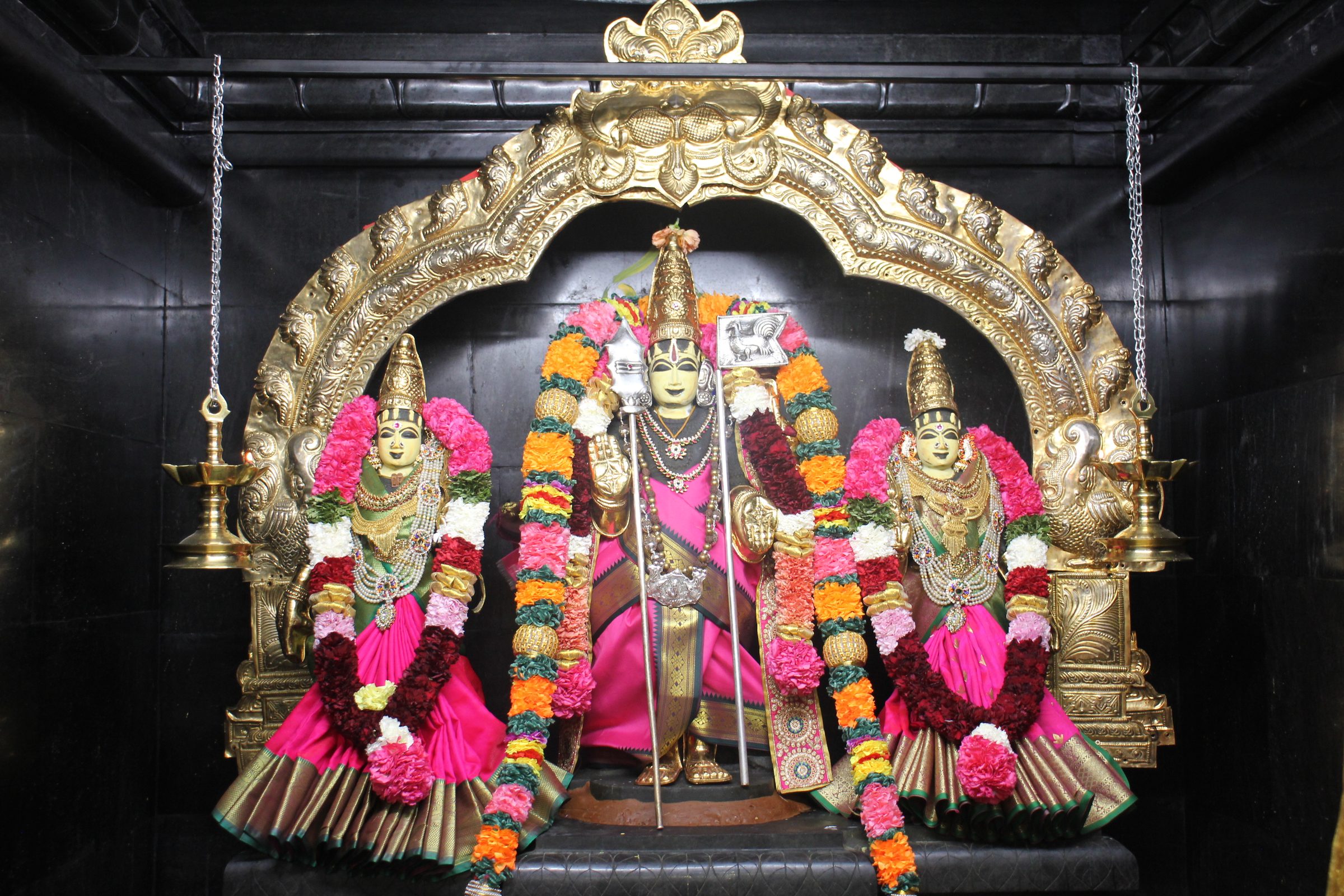 Festival 2026 photo