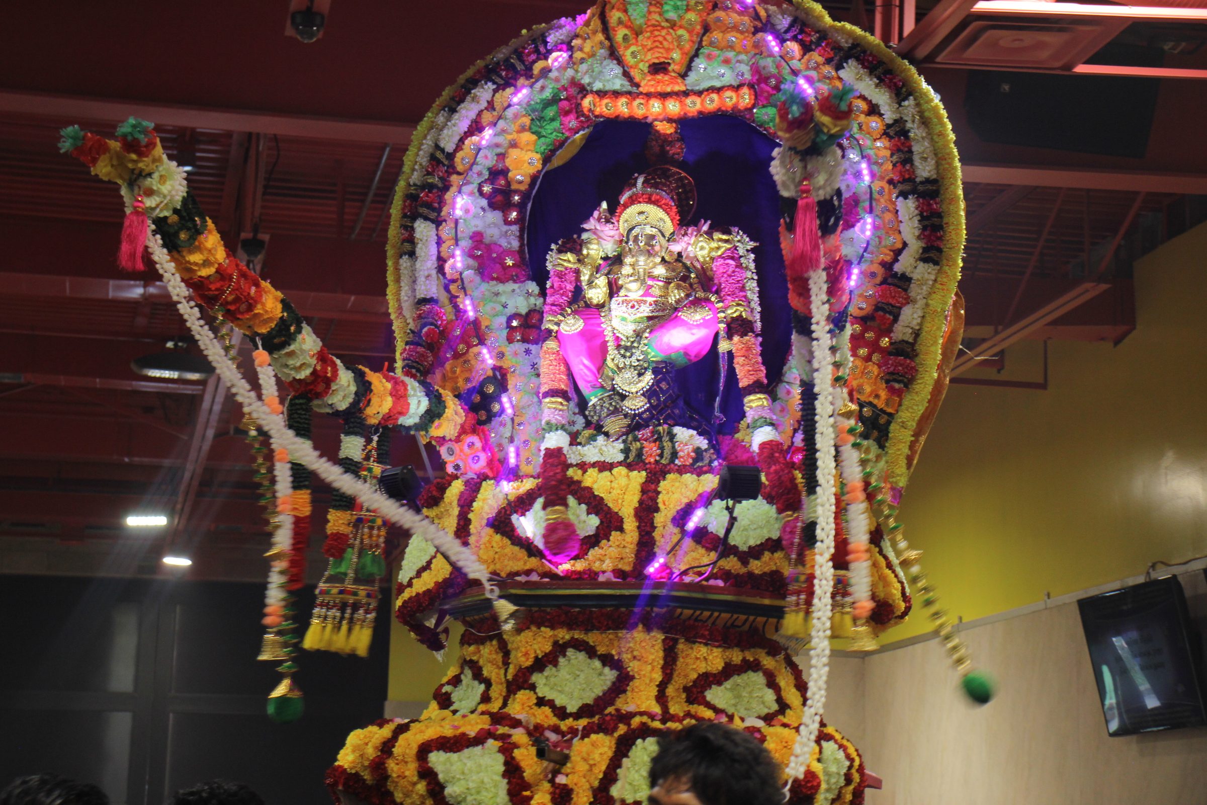 Festival 2026 photo