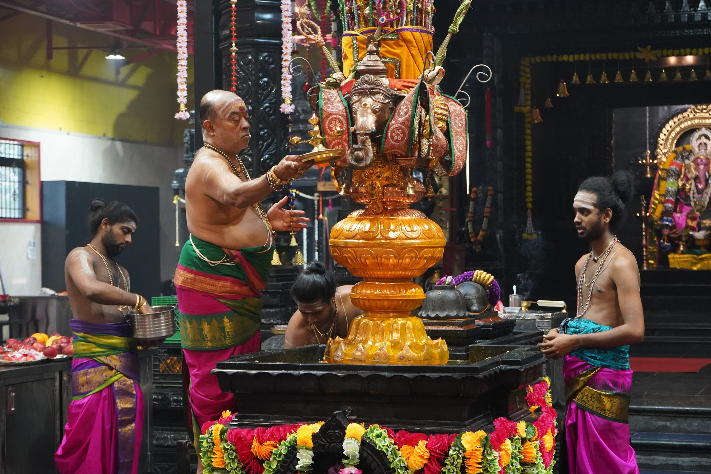 Festival 2026 photo