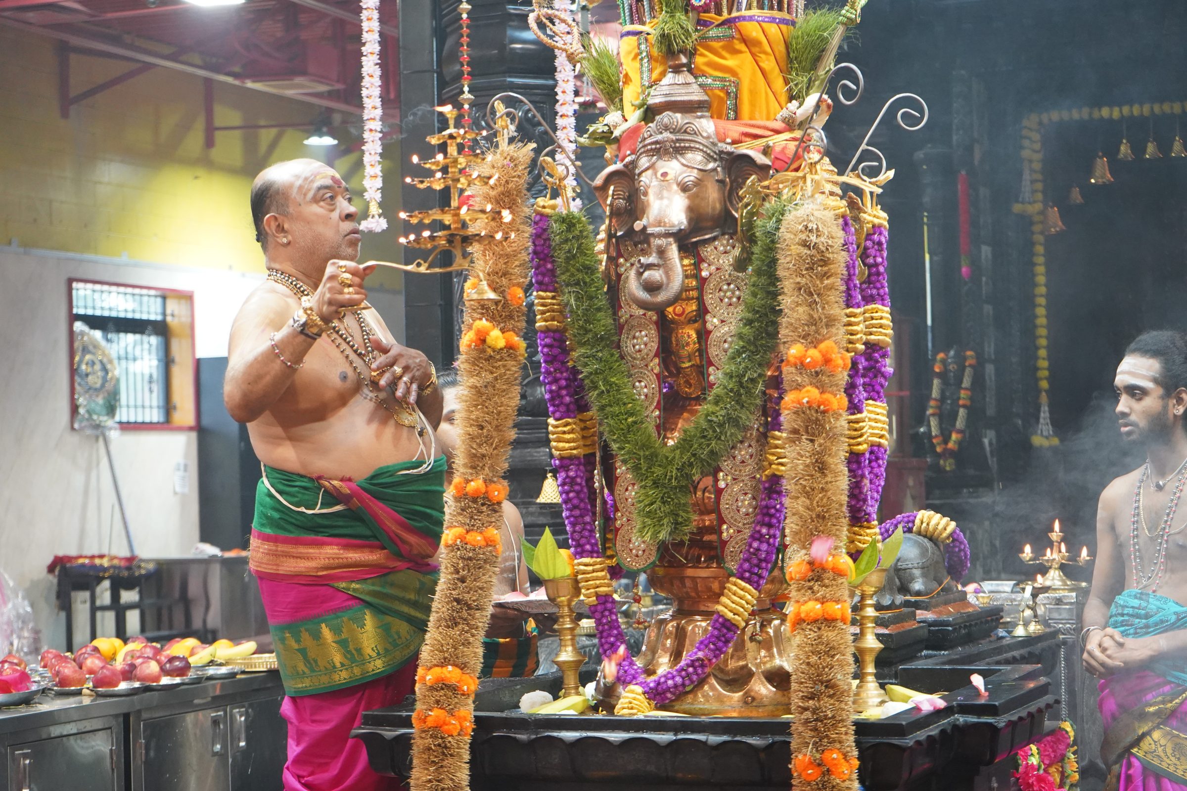 Festival 2026 photo