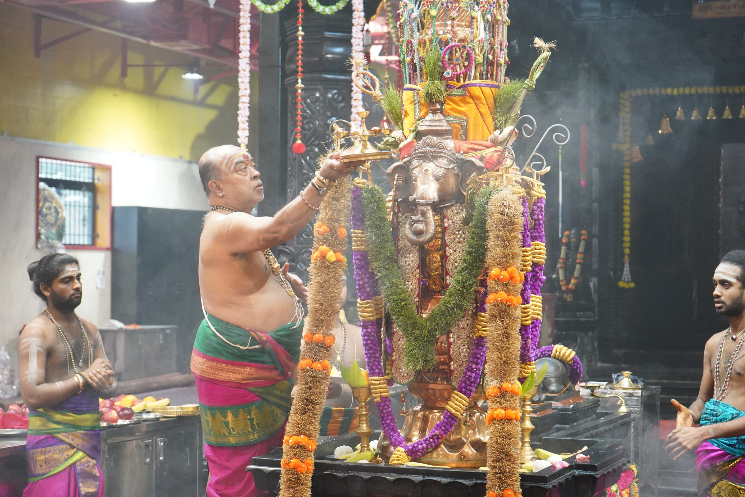 Festival 2026 photo