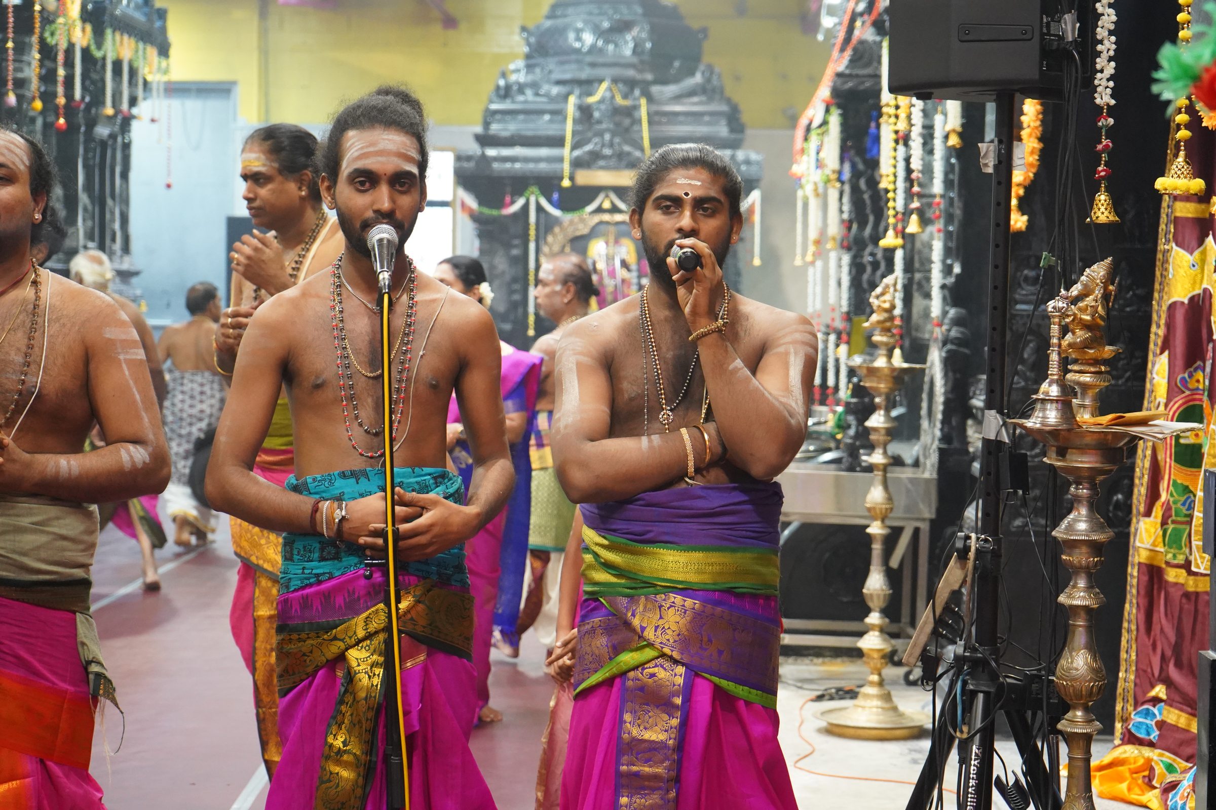 Festival 2026 photo