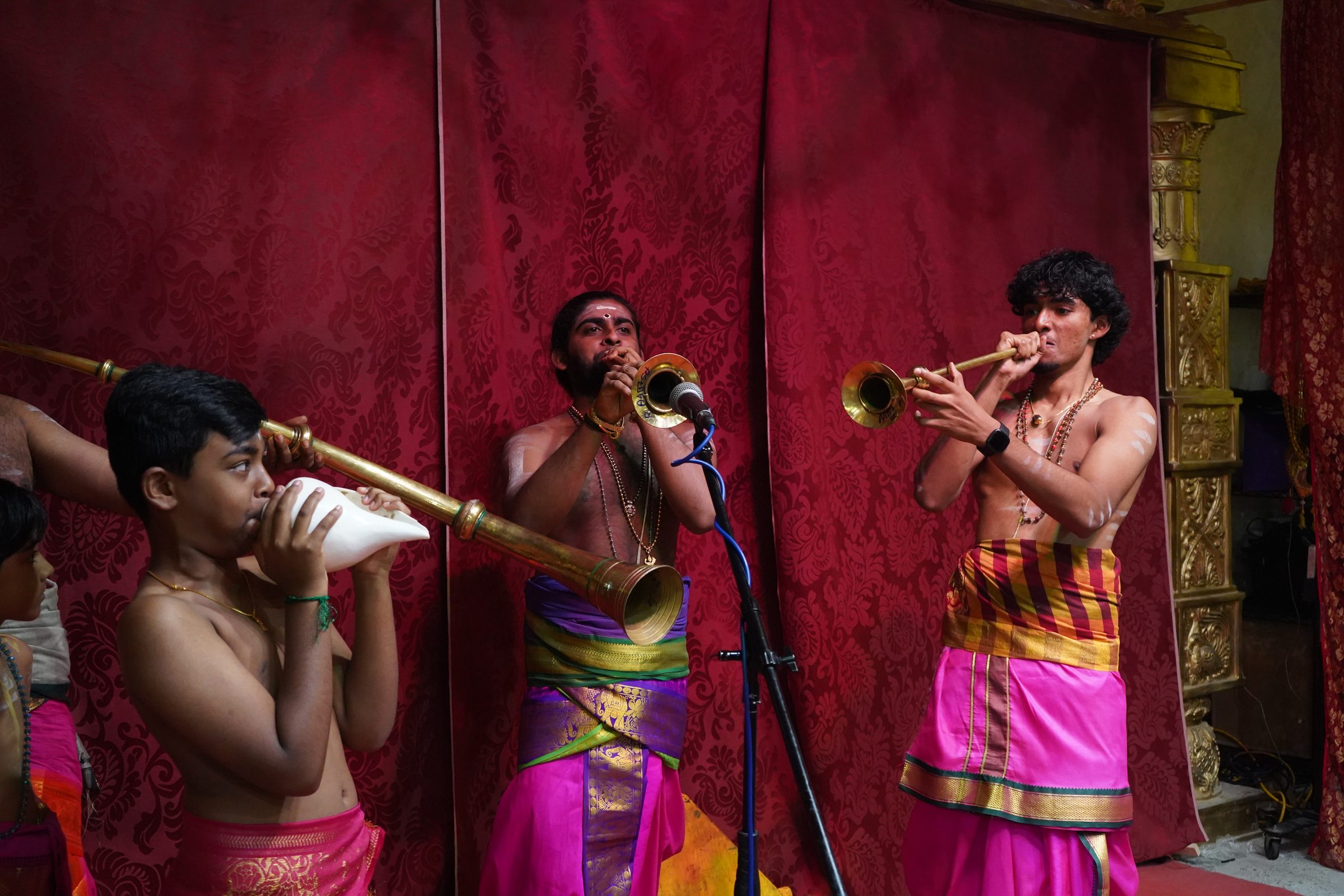Festival 2026 photo