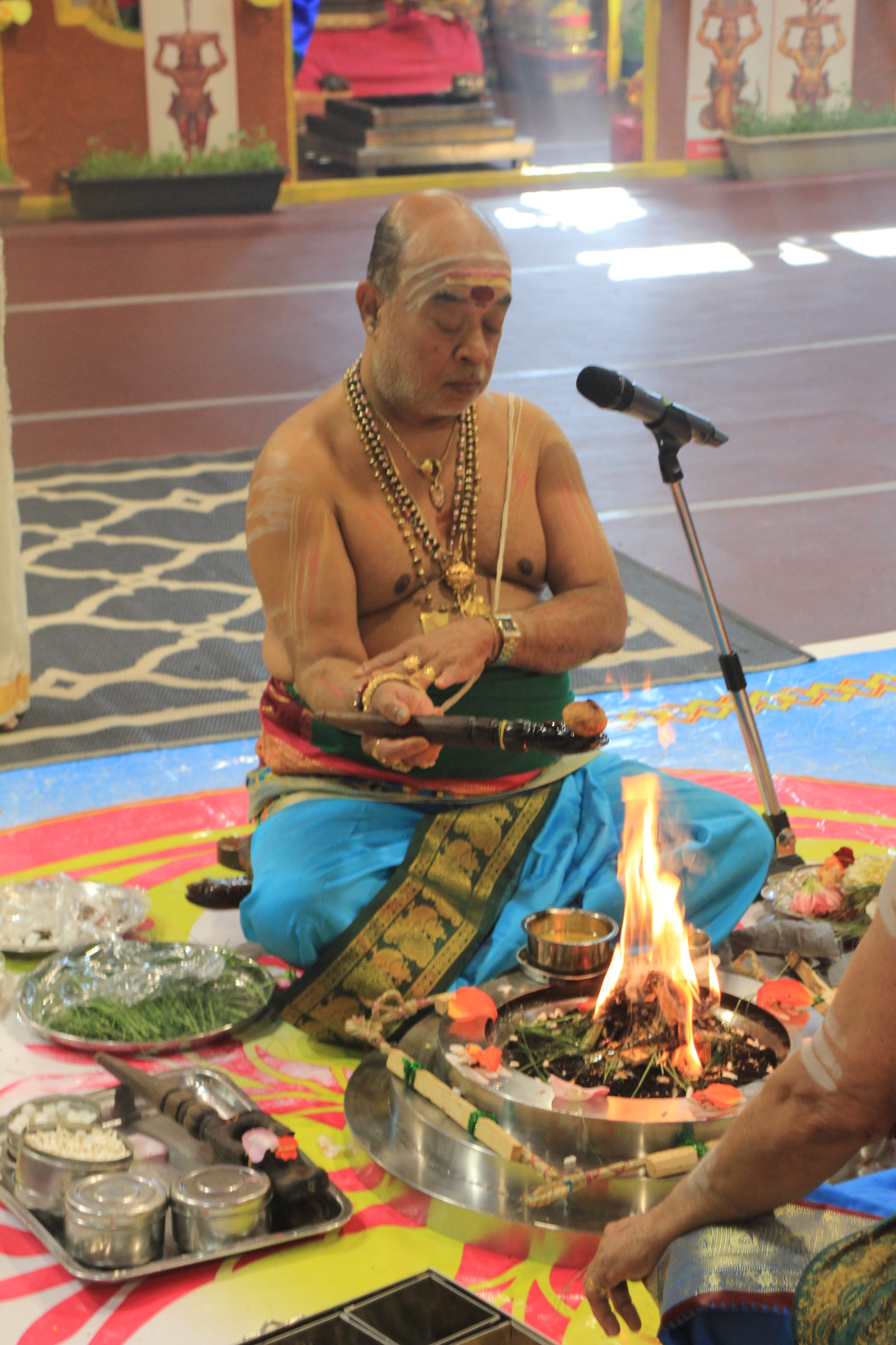 Festival 2026 photo