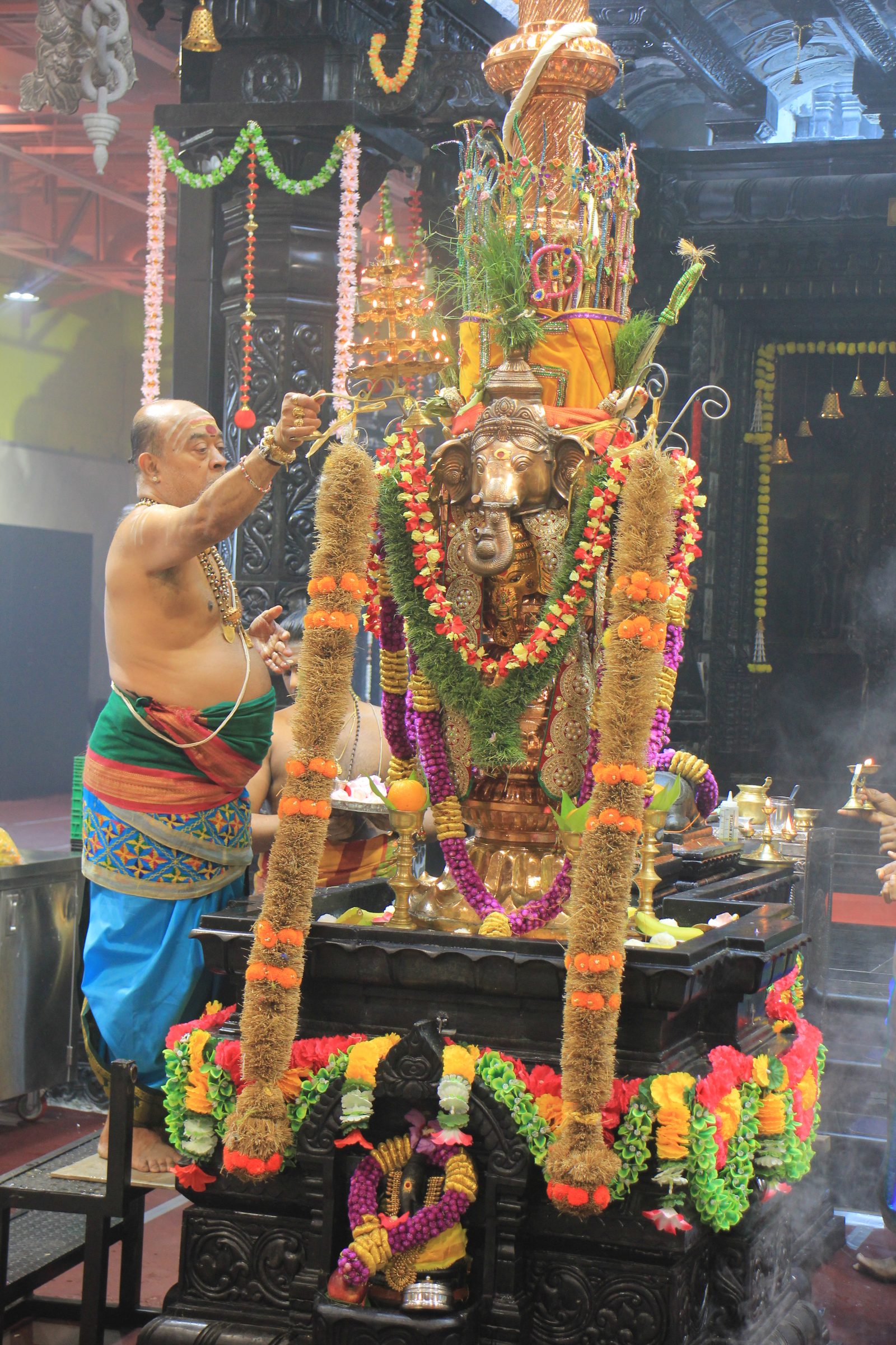 Festival 2026 photo