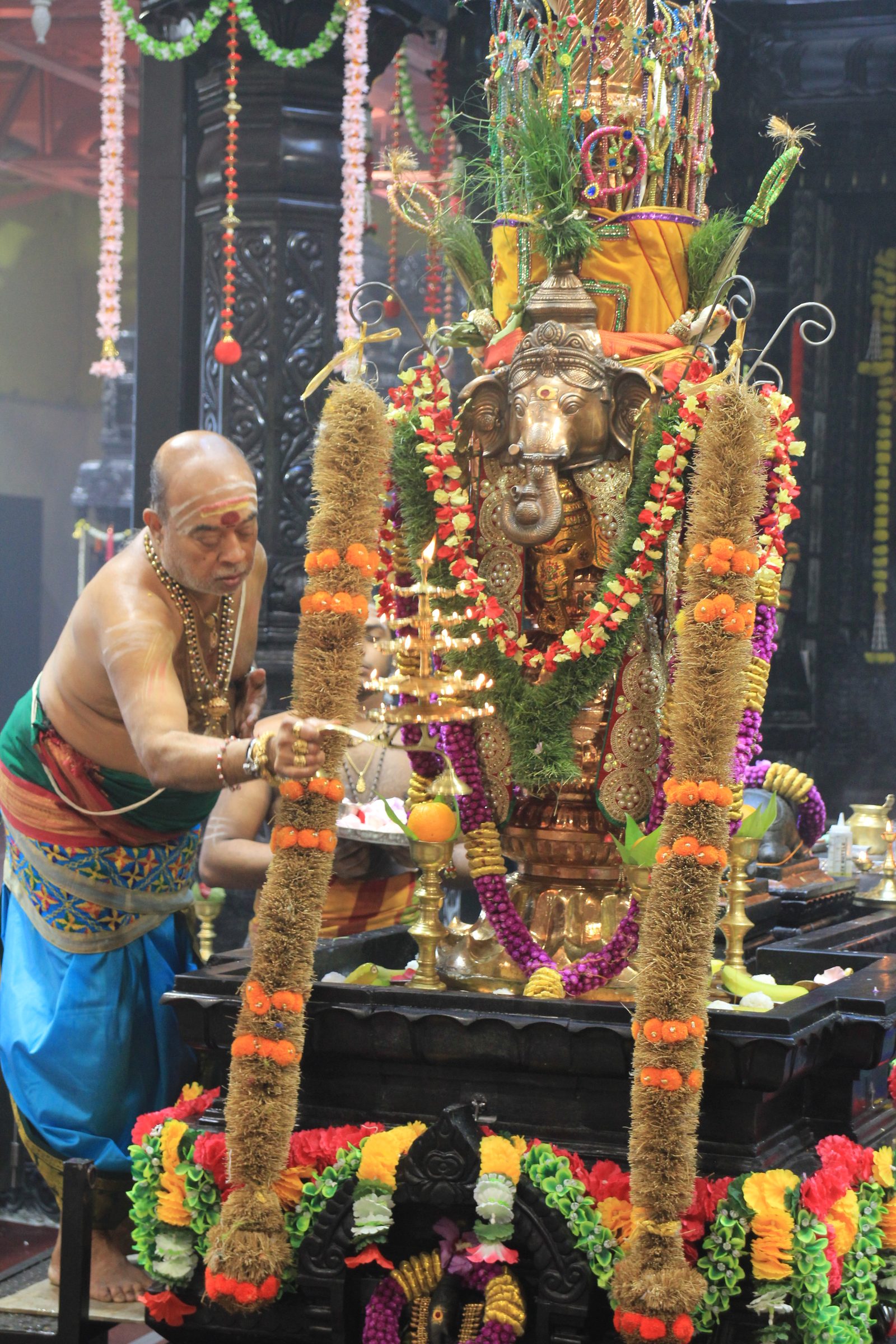 Festival 2026 photo