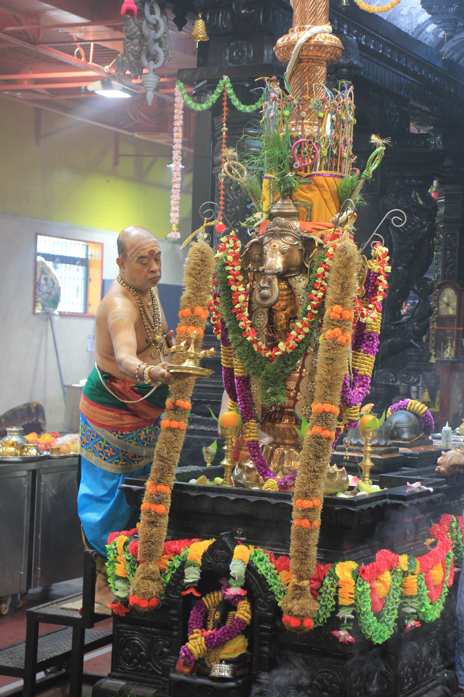 Festival 2026 photo