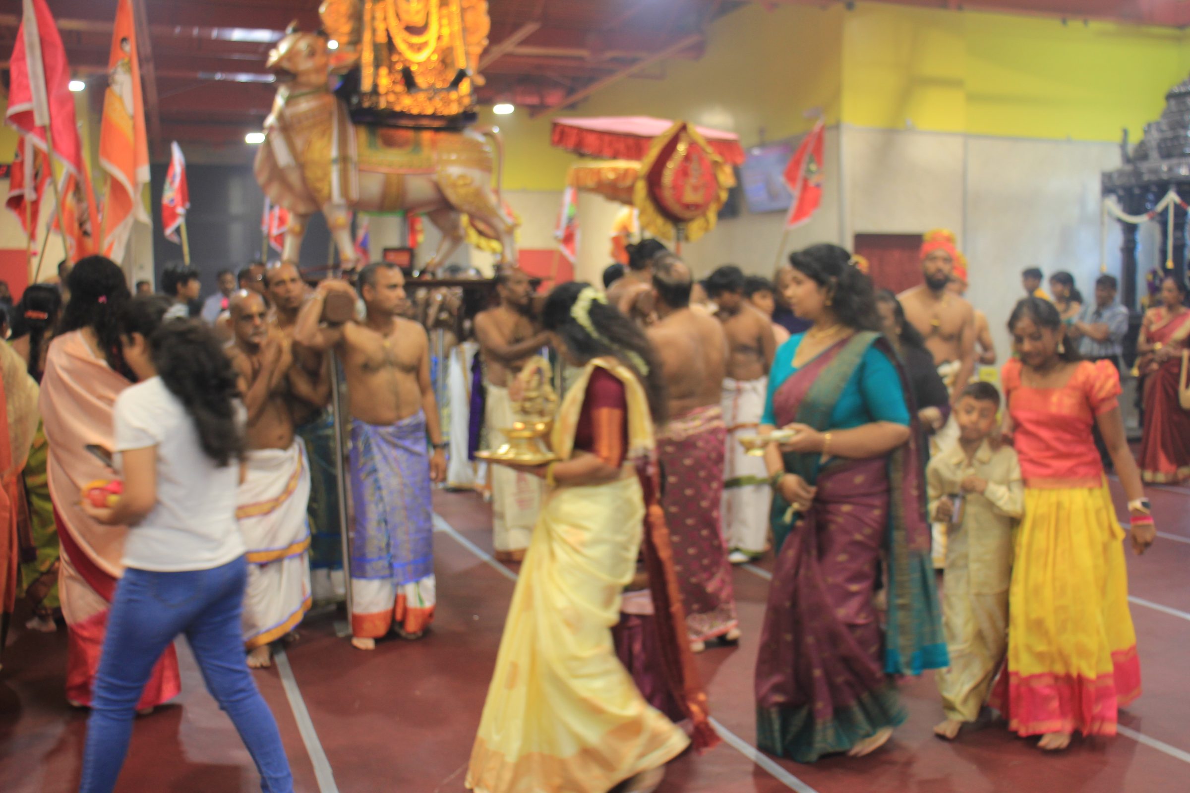 Festival 2026 photo