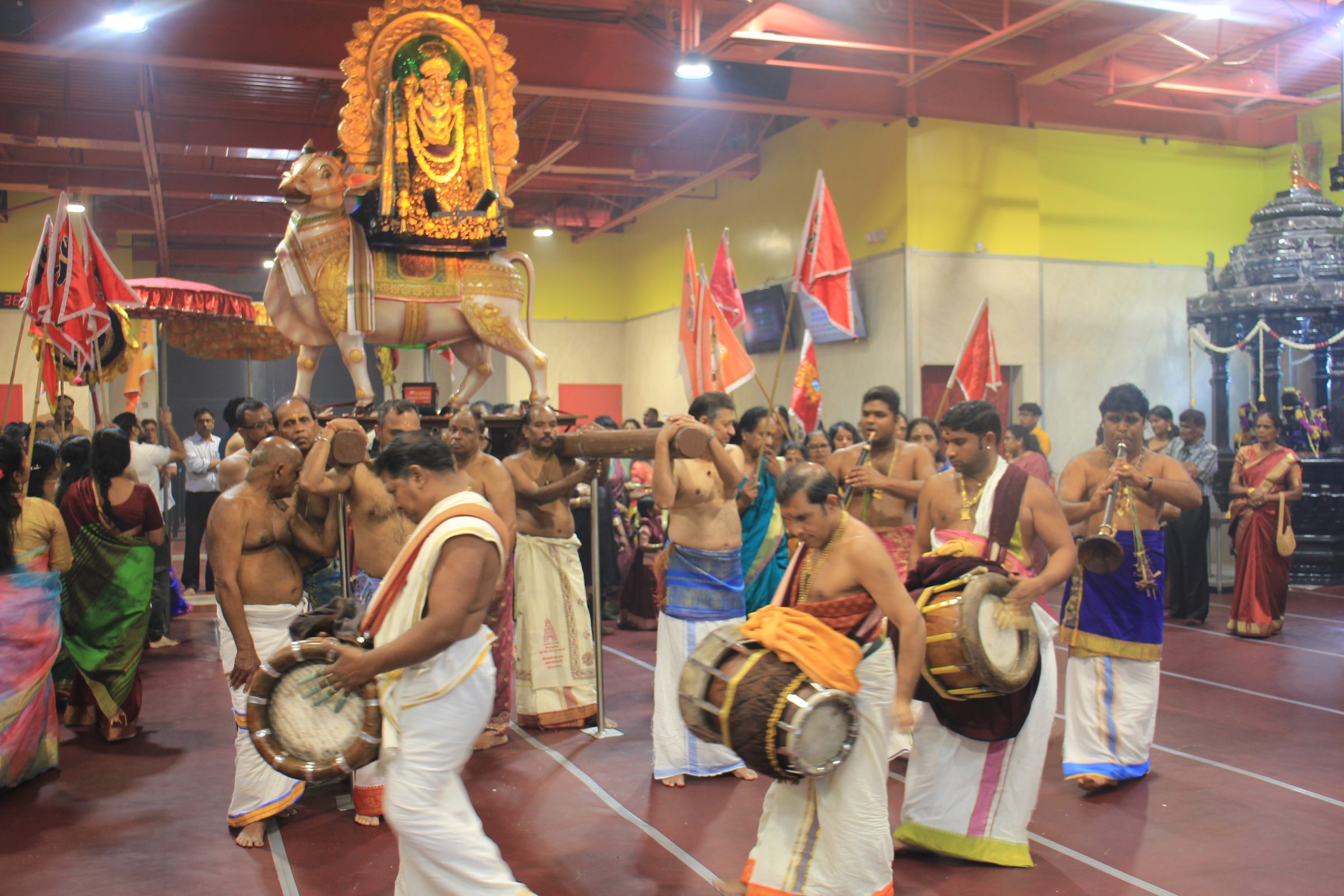 Festival 2026 photo