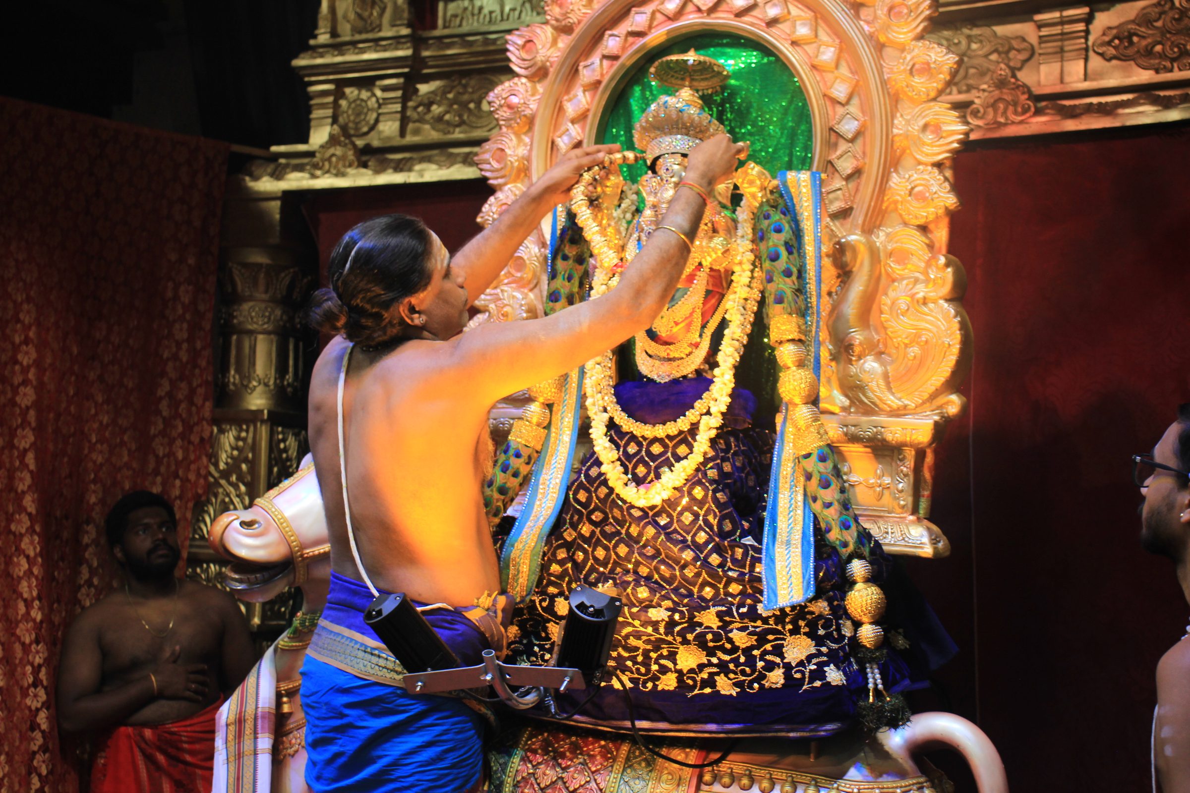 Festival 2026 photo