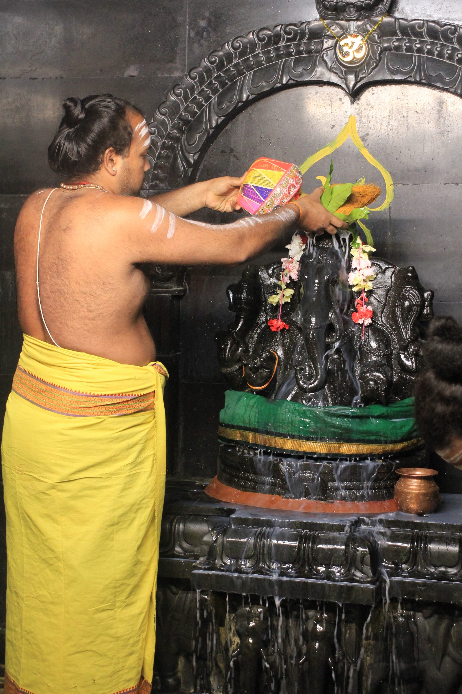 Festival 2026 photo