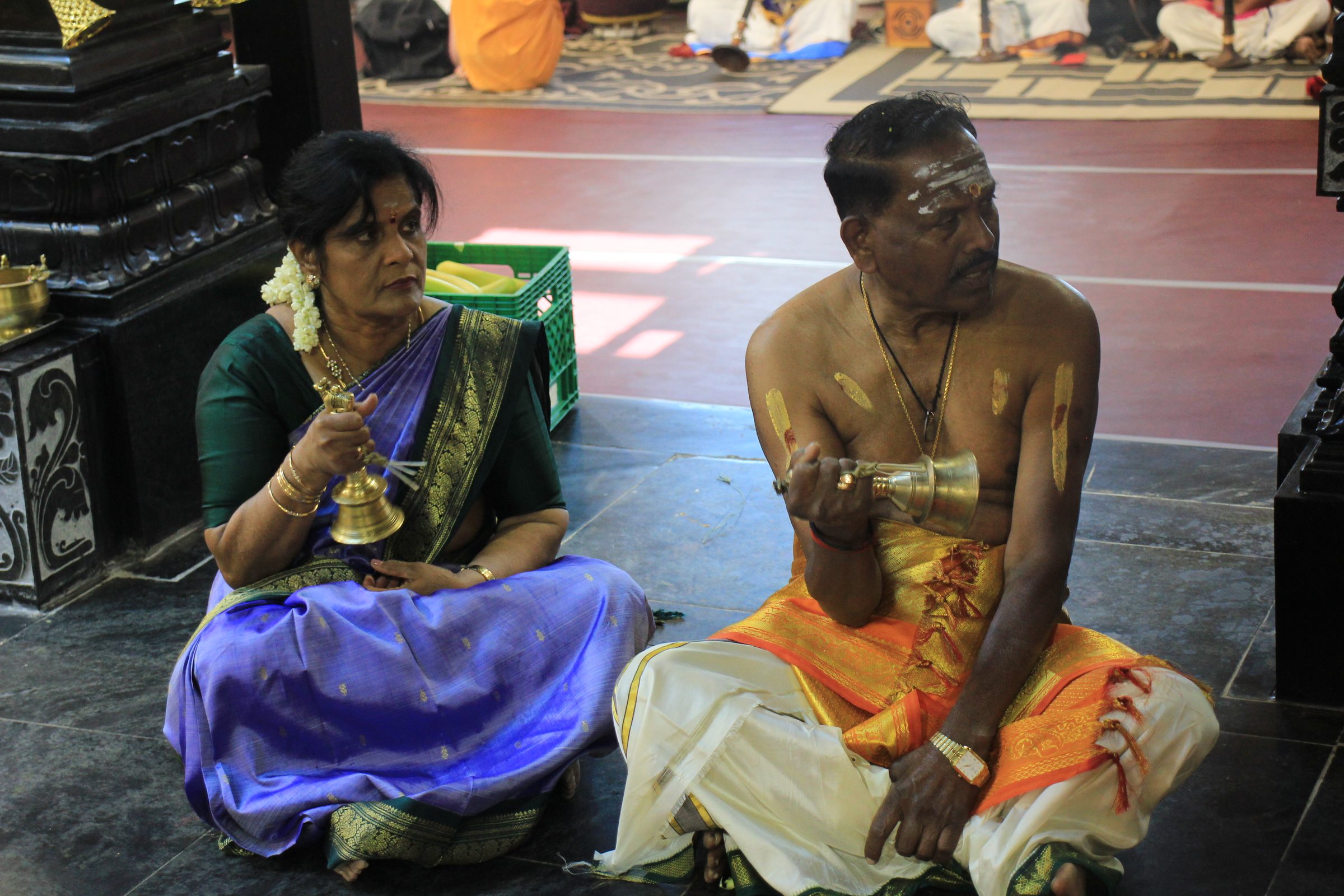 Festival 2026 photo