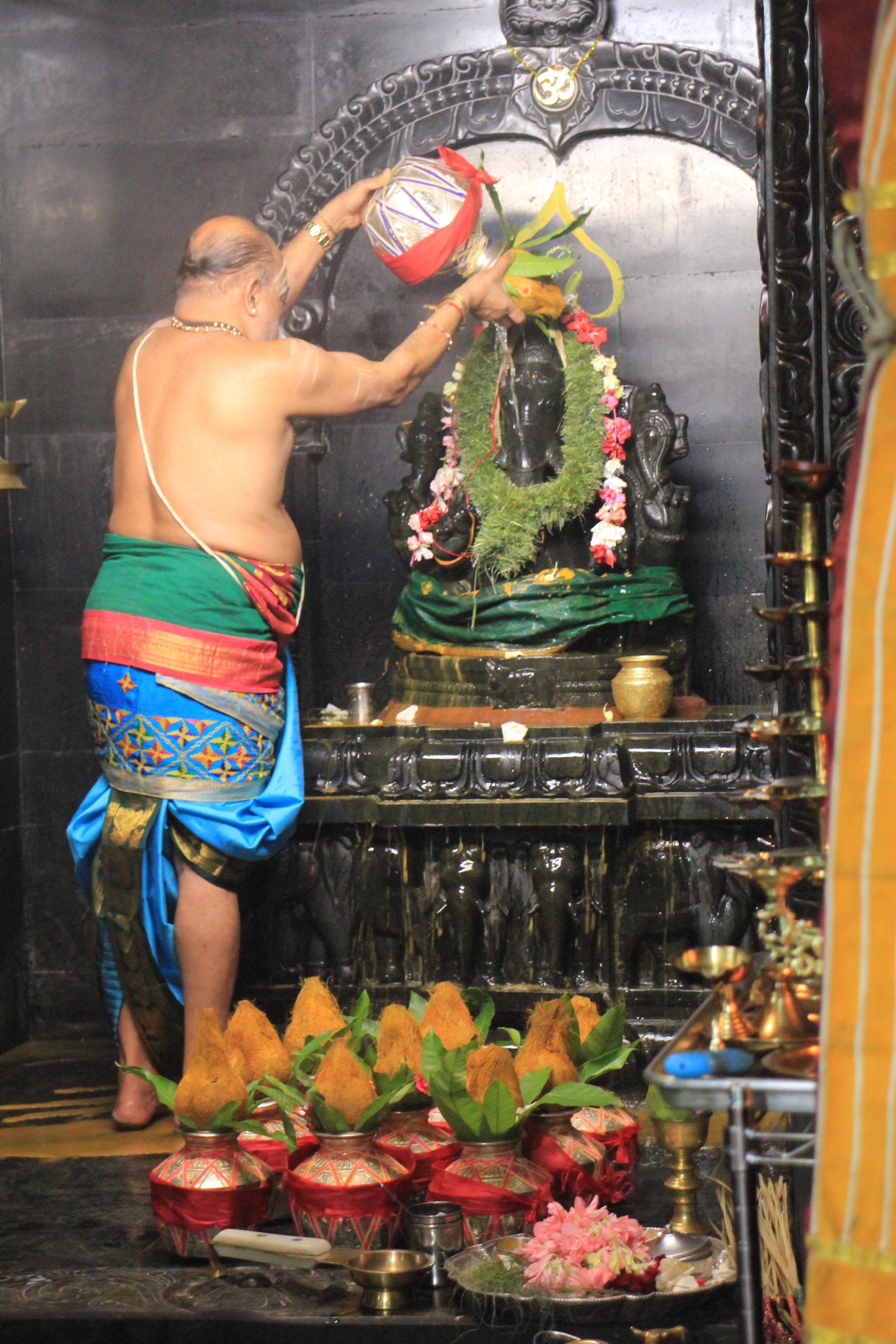 Festival 2026 photo