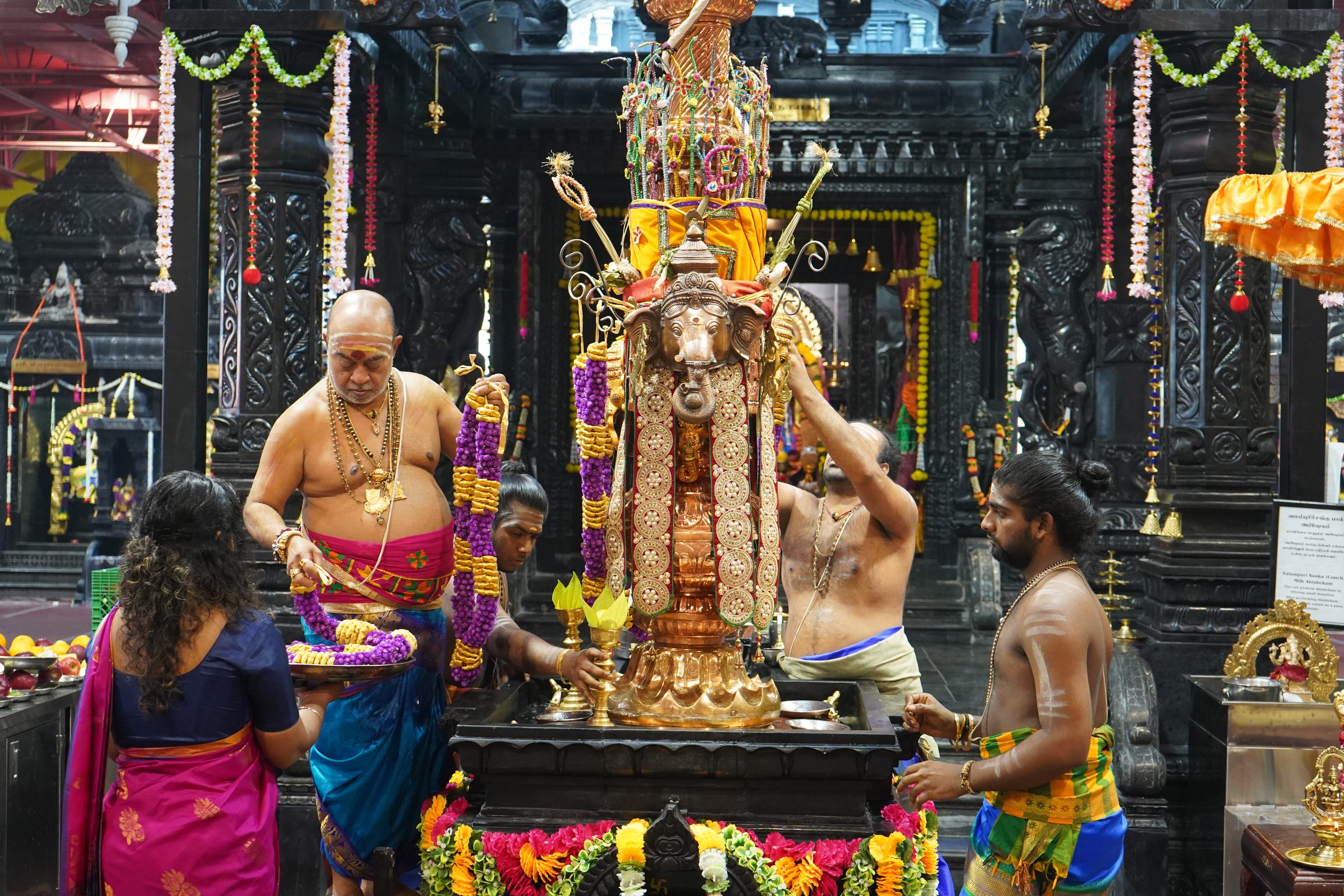 Festival 2026 photo