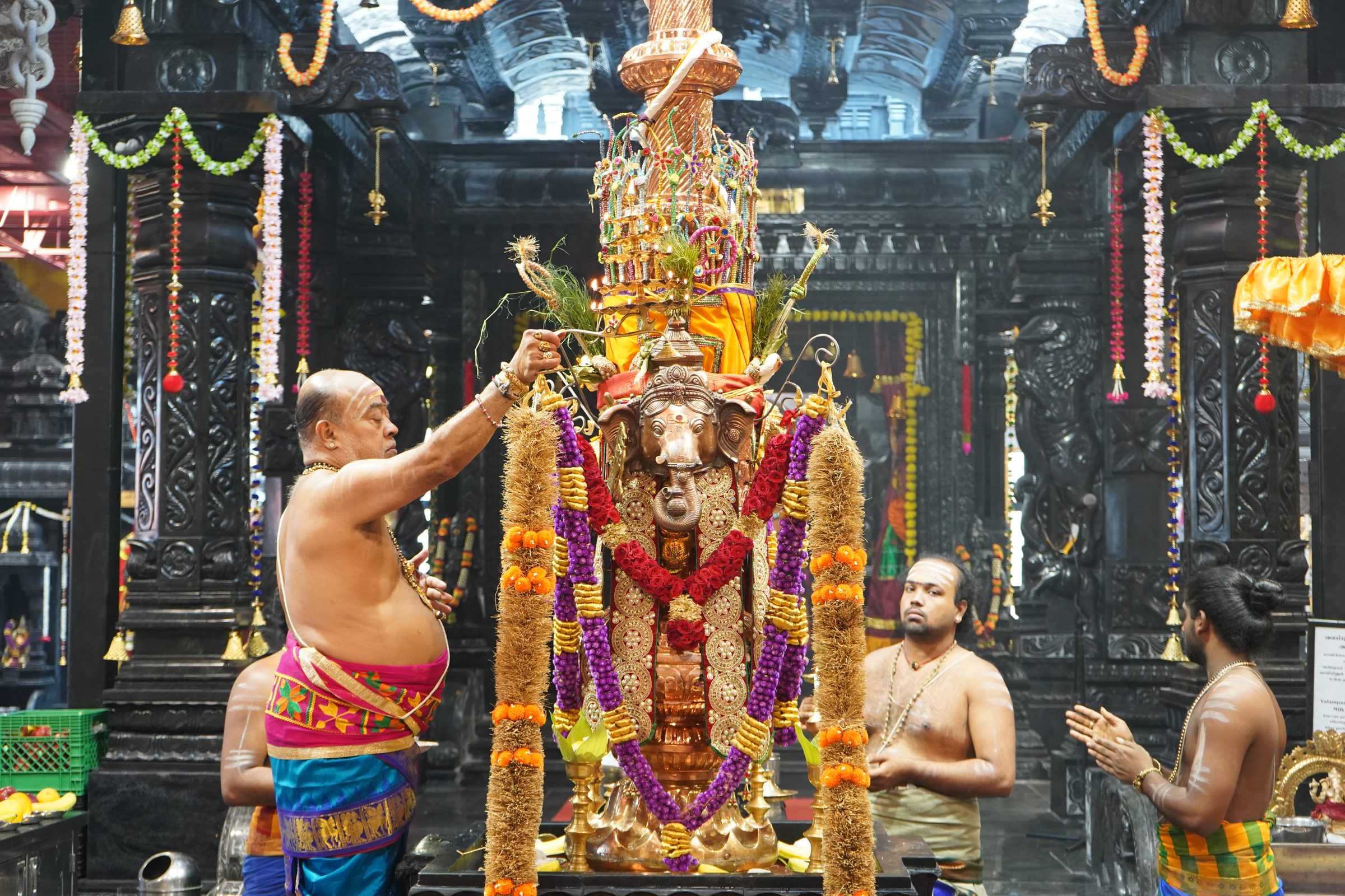 Festival 2026 photo