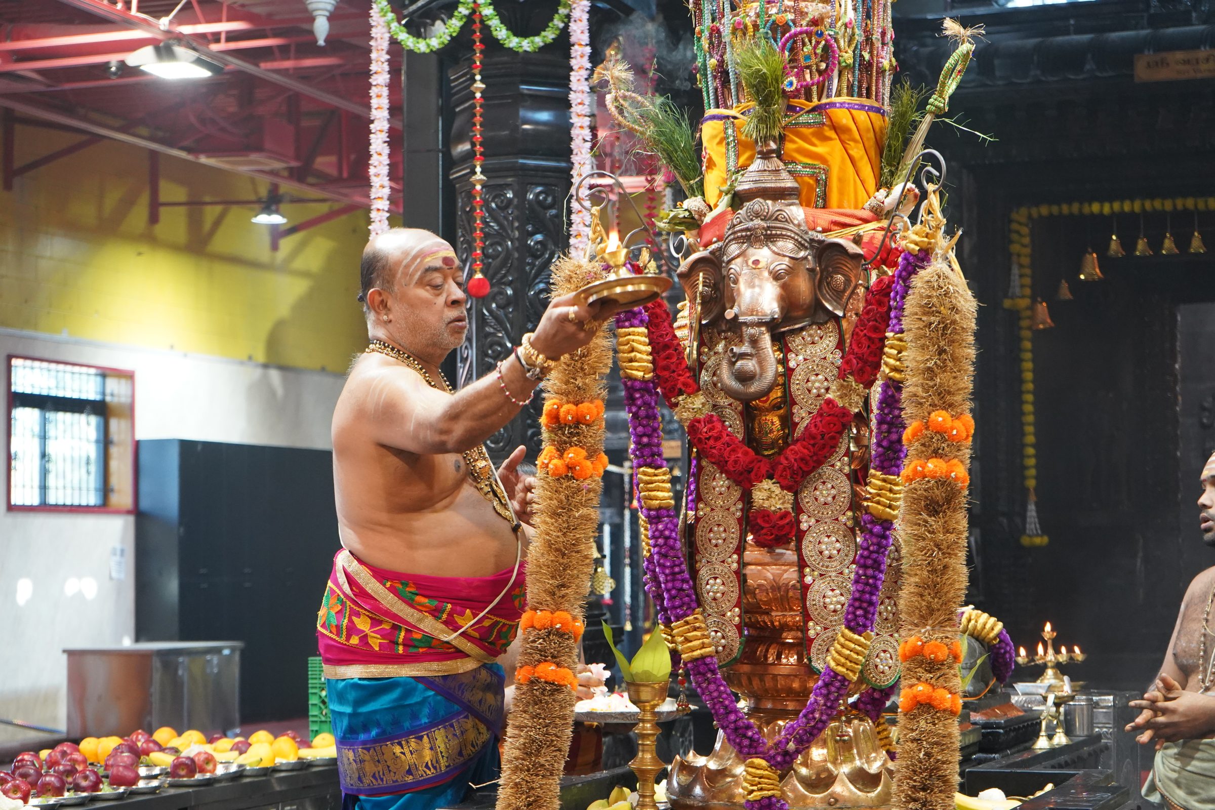 Festival 2026 photo