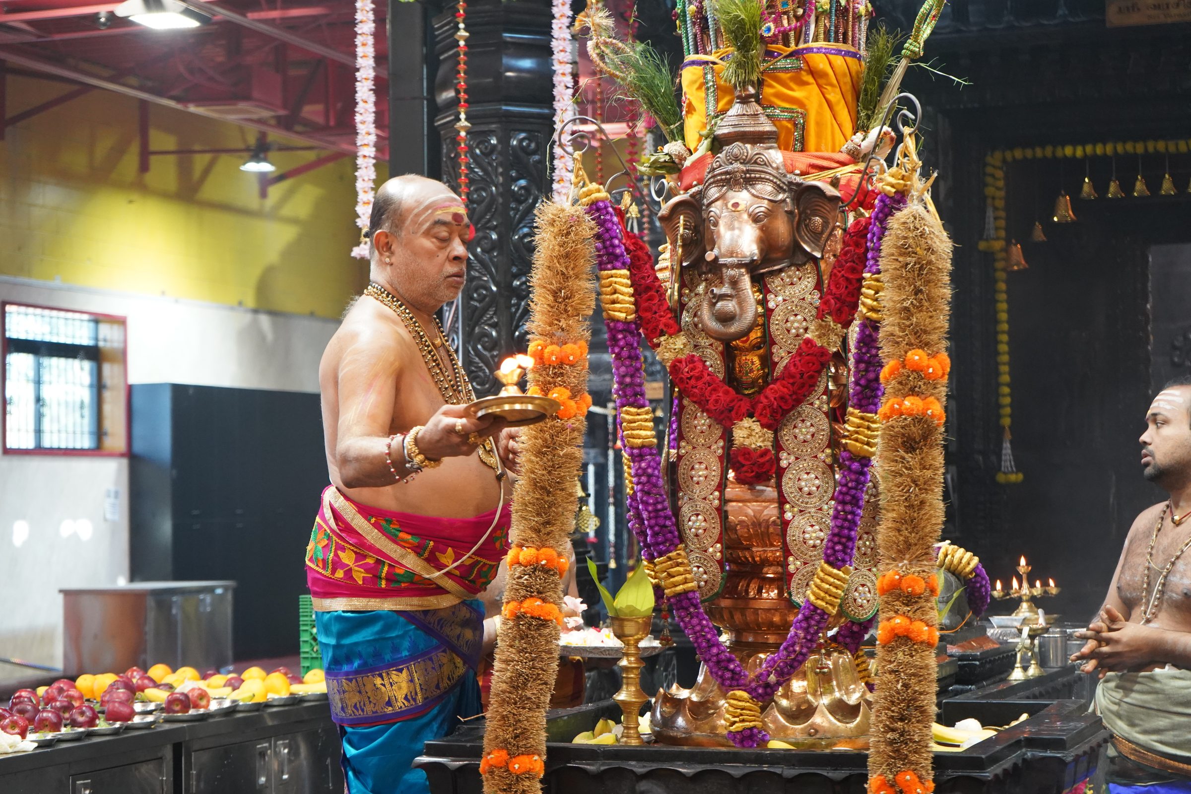 Festival 2026 photo