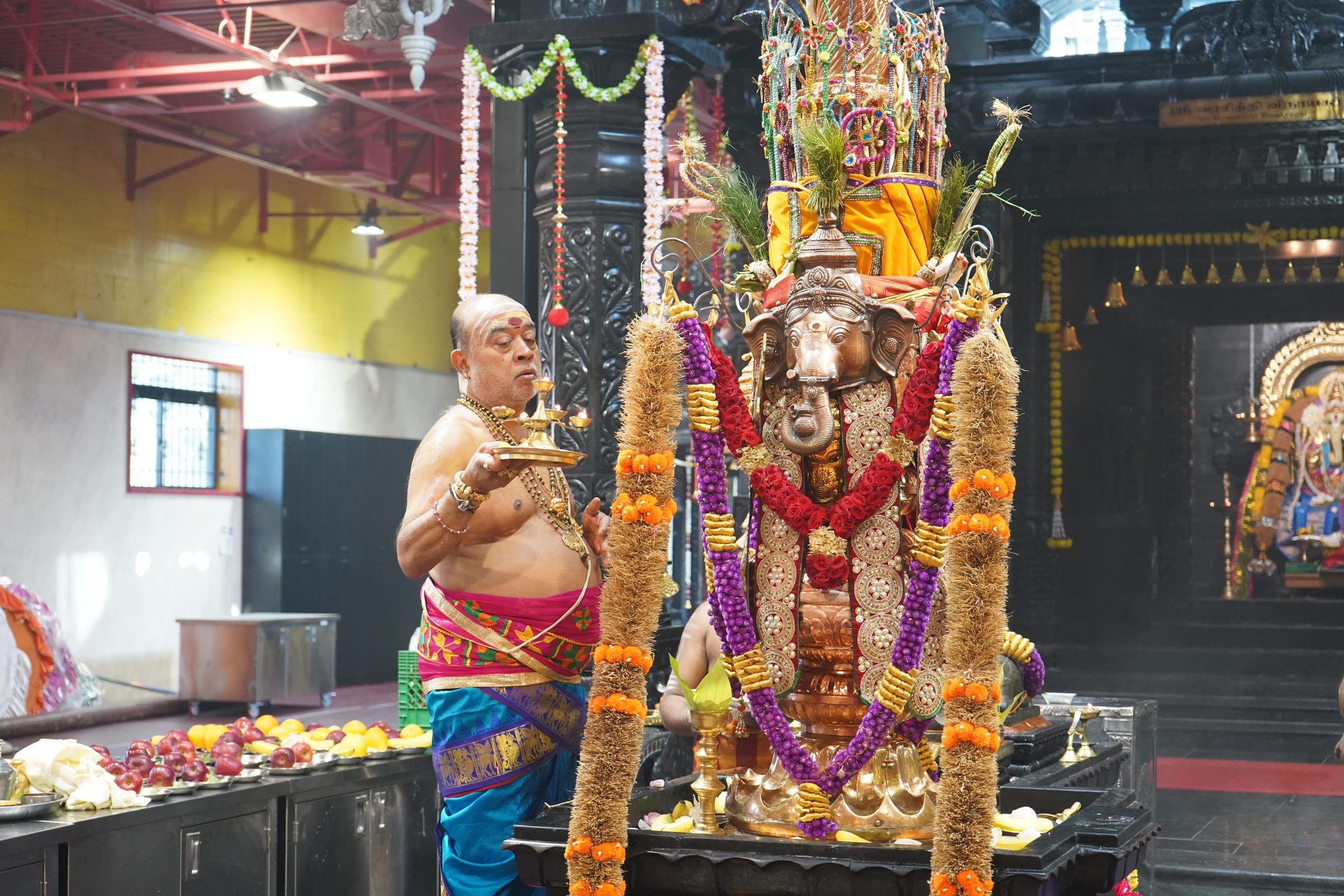 Festival 2026 photo