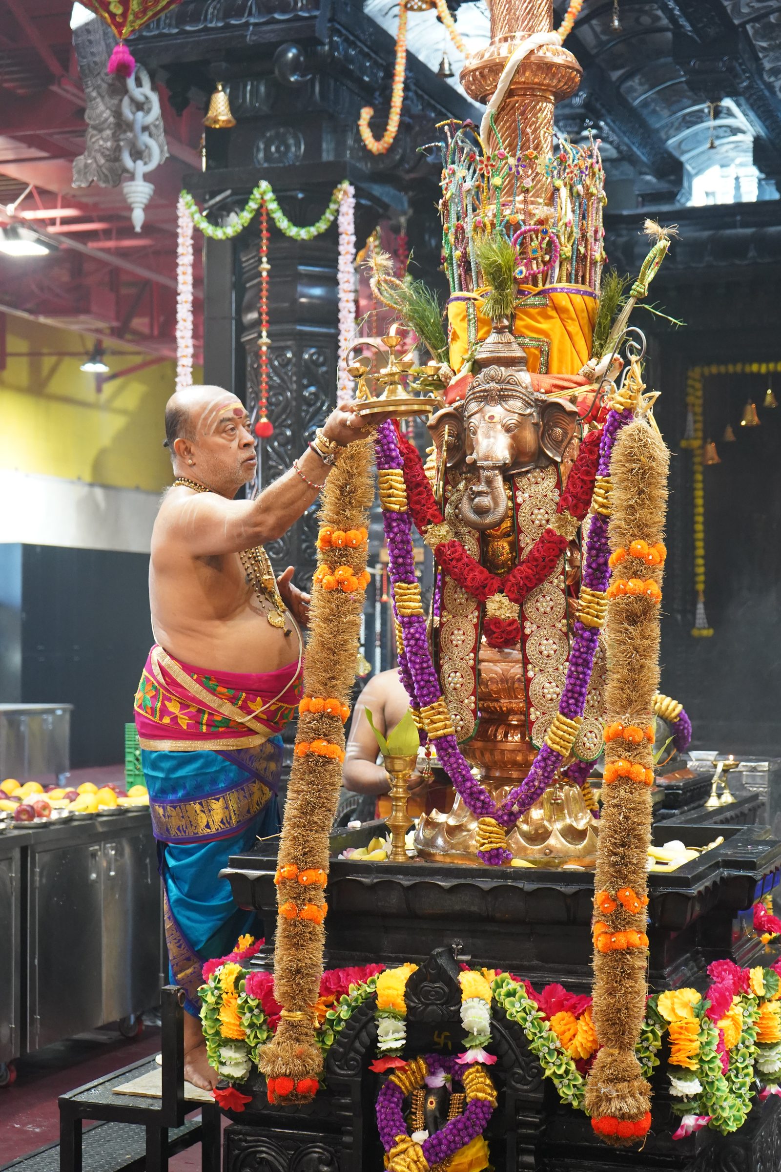 Festival 2026 photo