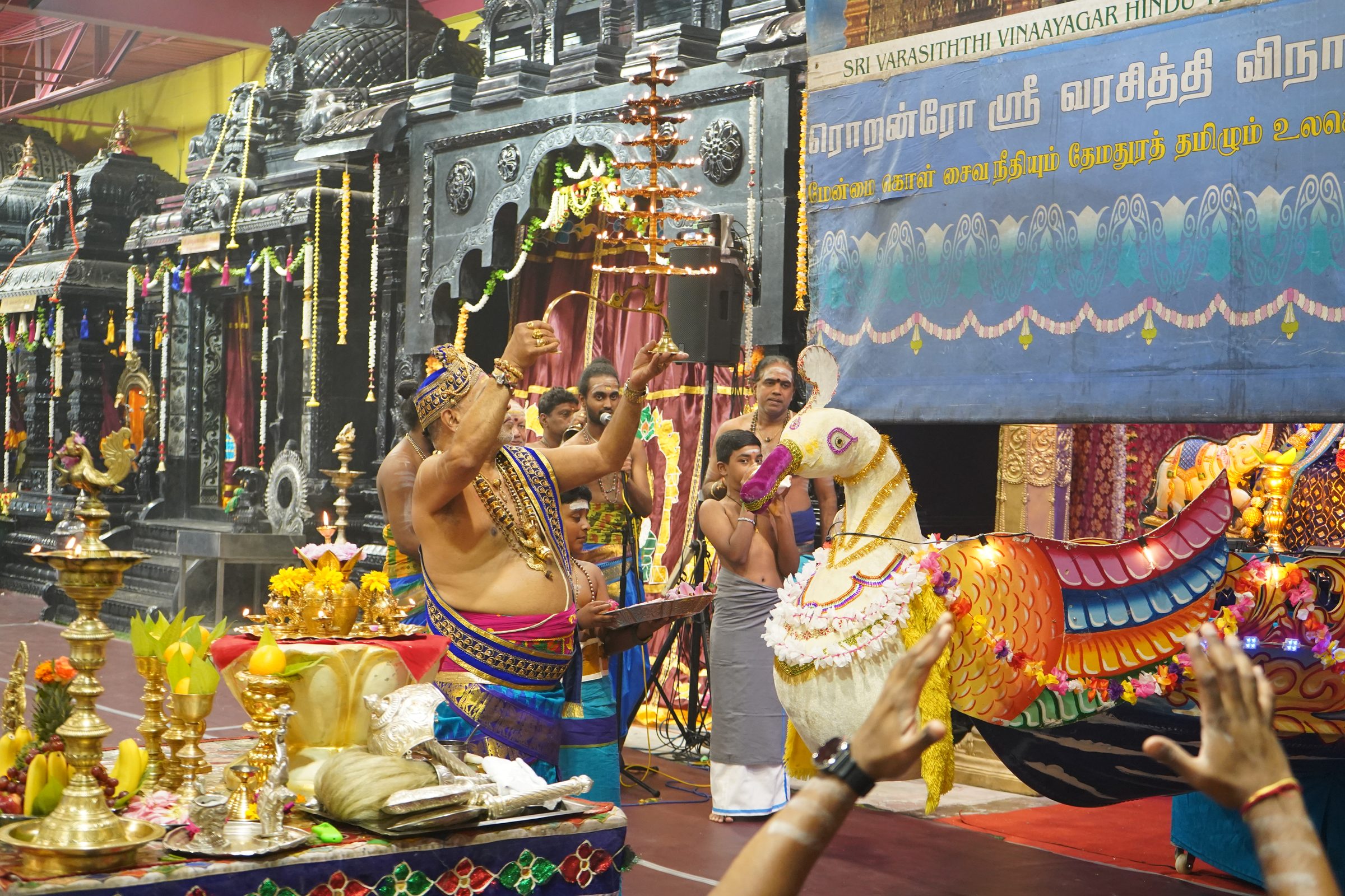 Festival 2026 photo