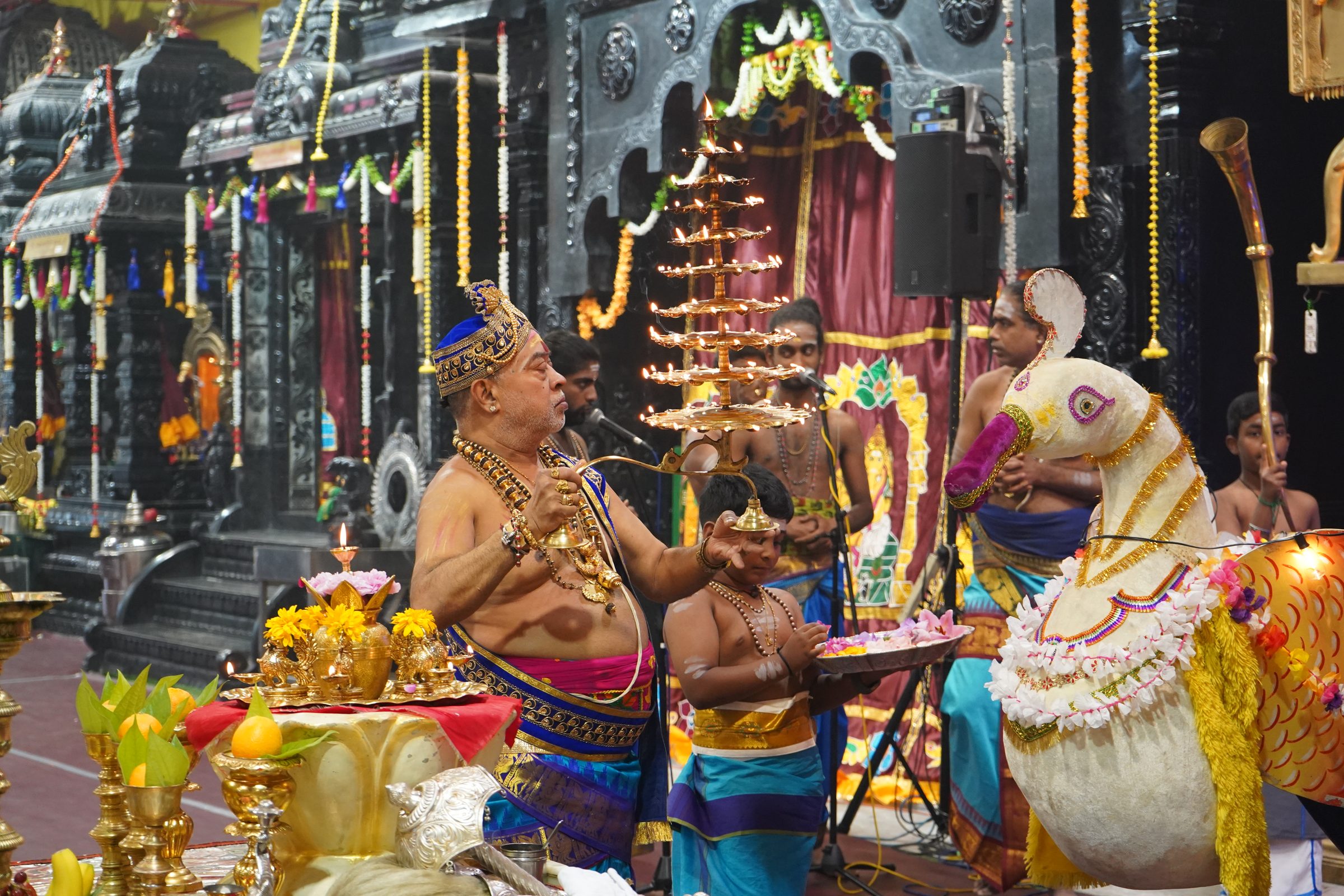 Festival 2026 photo