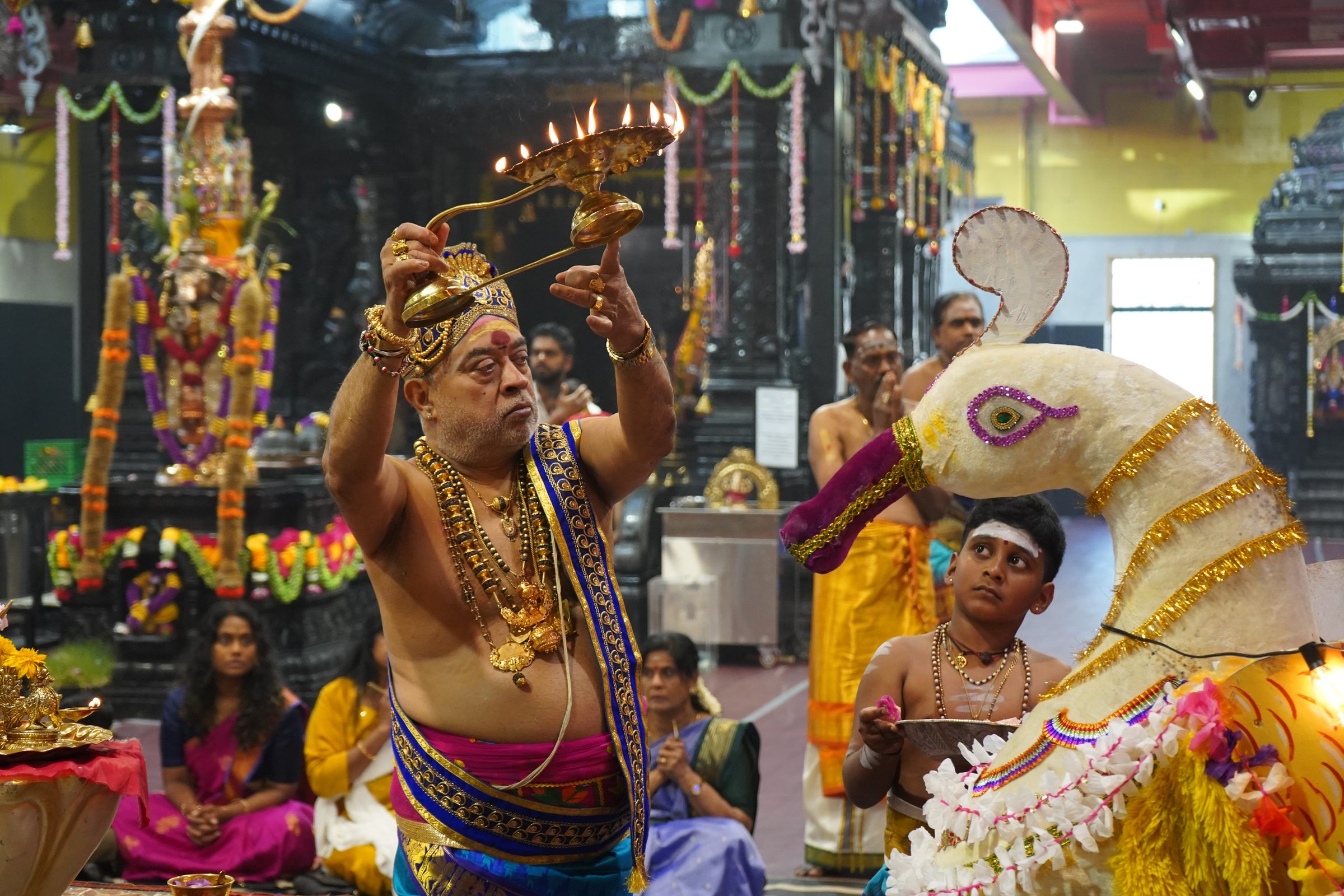Festival 2026 photo