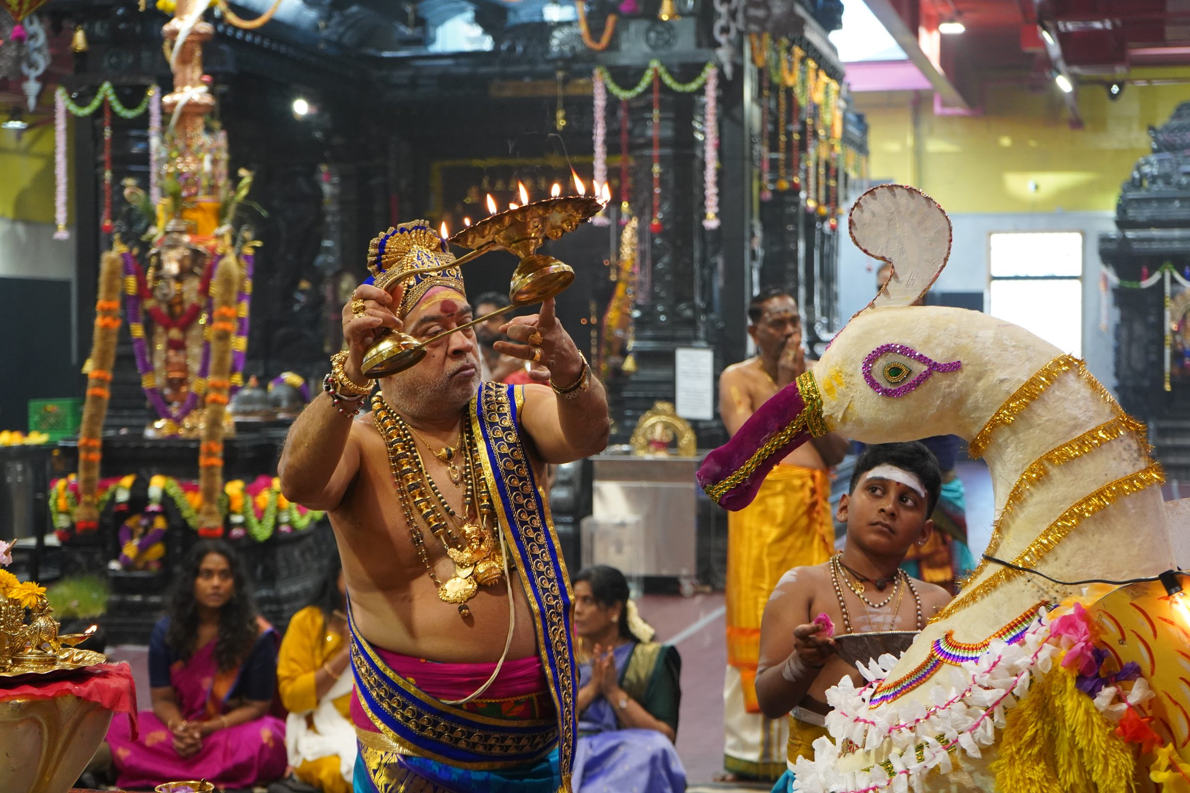 Festival 2026 photo